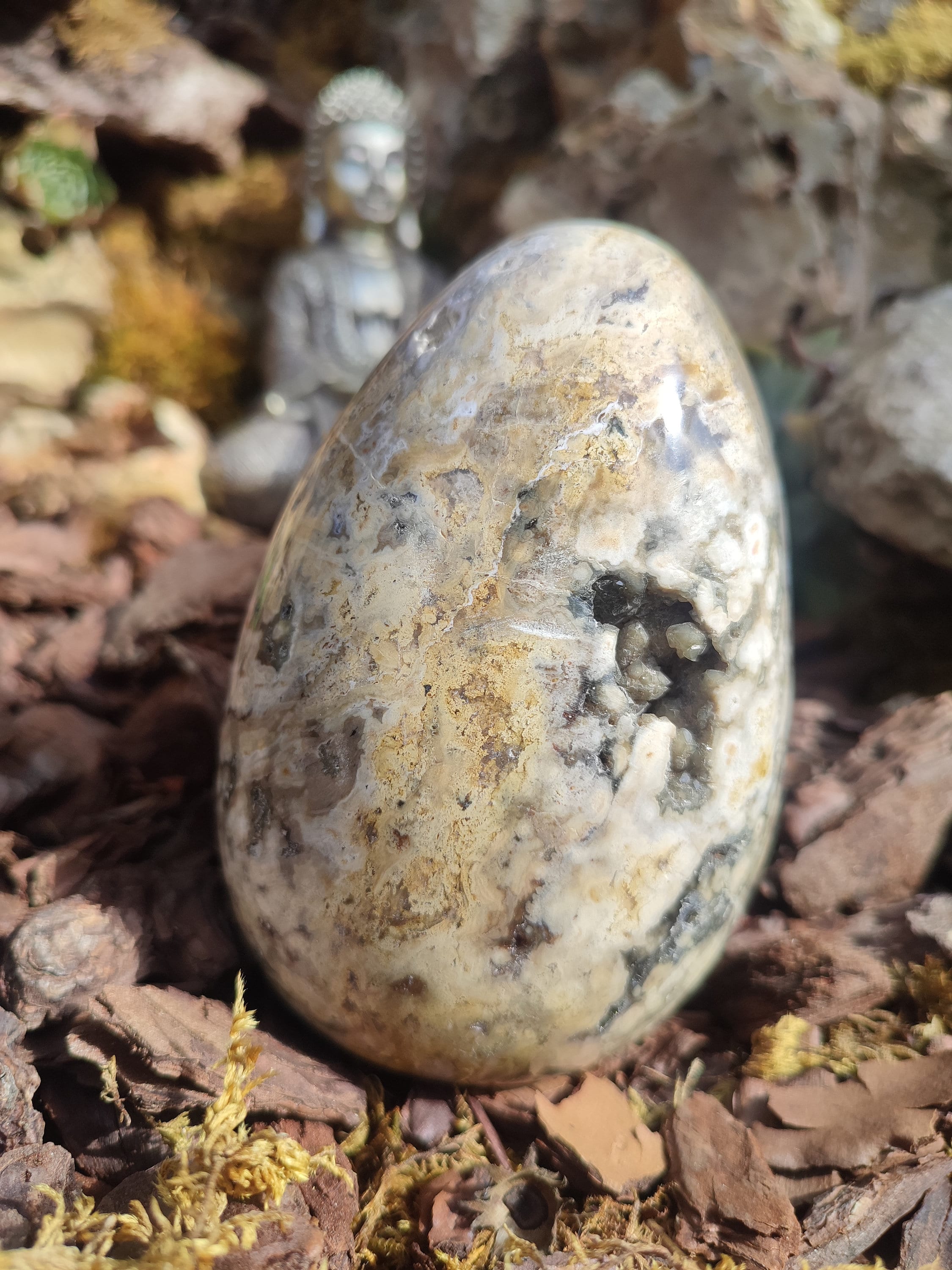 Oeuf de Jaspe océan