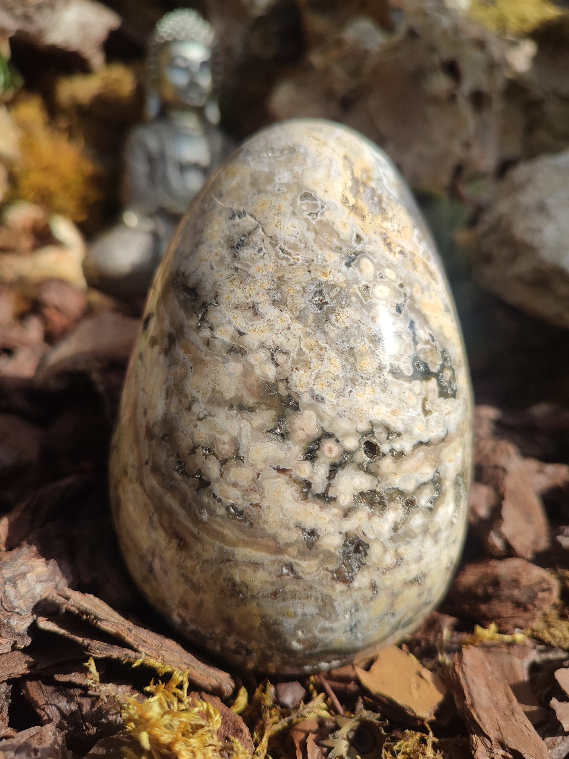 Oeuf de Jaspe océan
