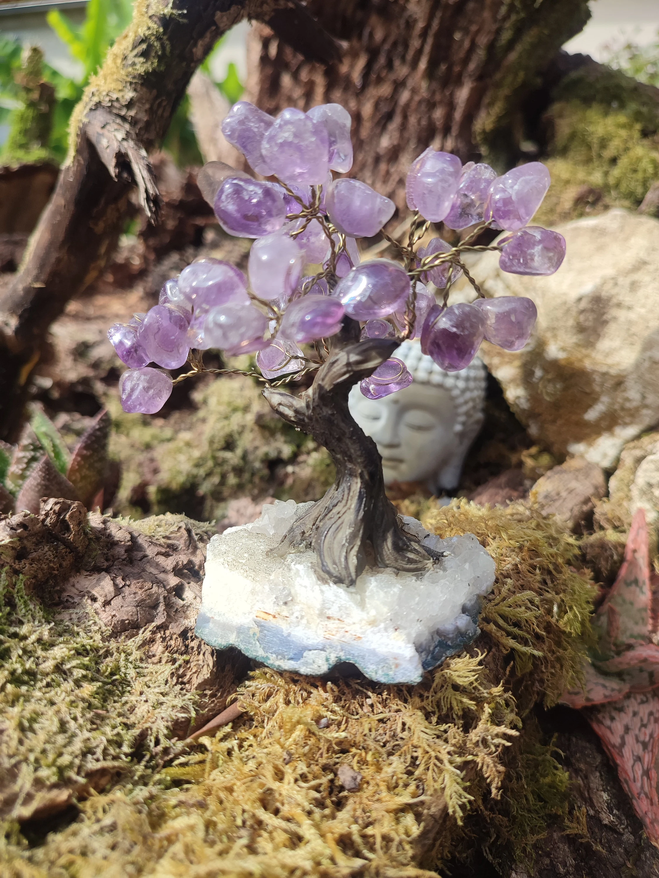 Arbre d'Améthyste et Quartz blanc