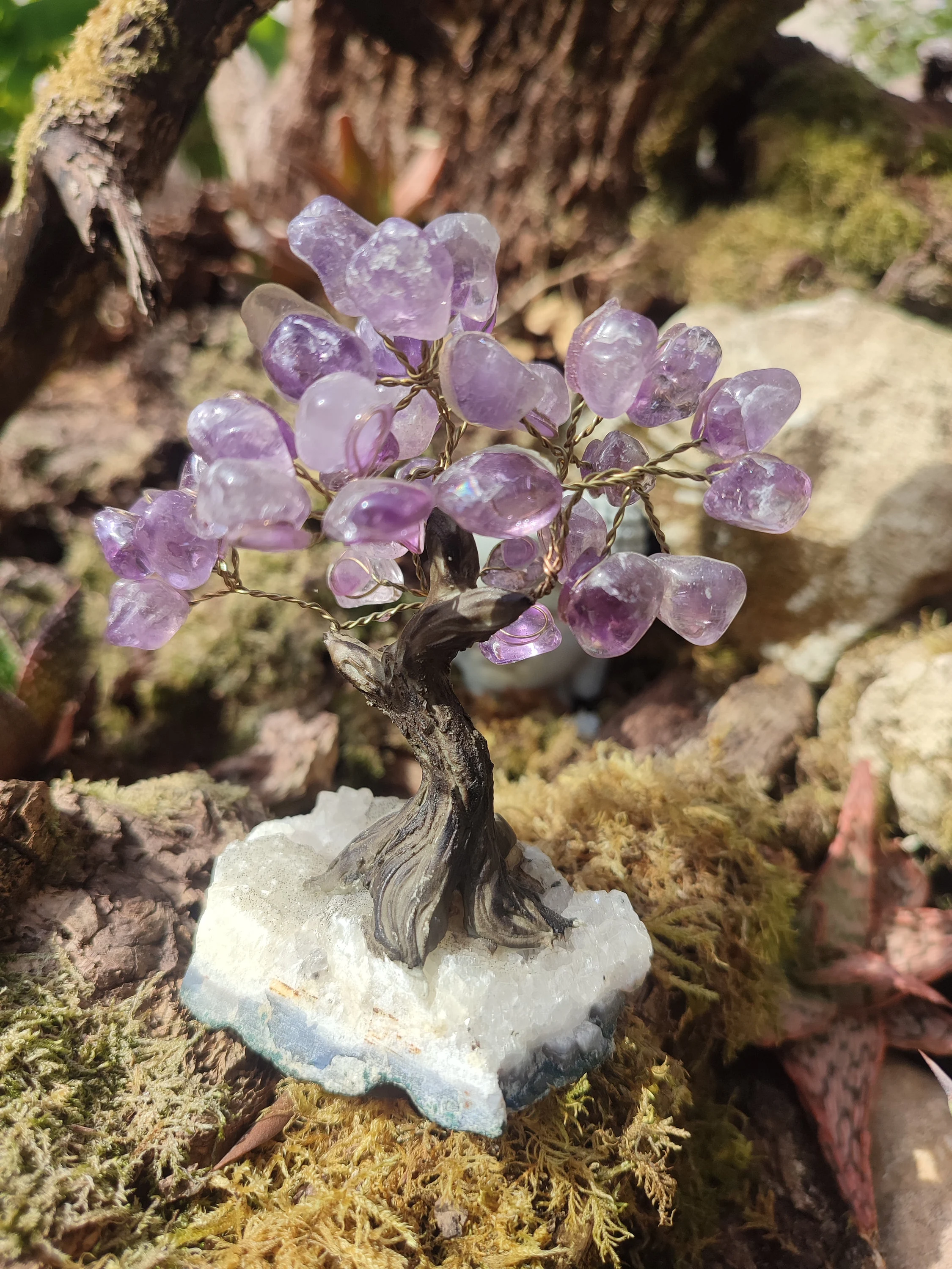 Arbre d'Améthyste et Quartz blanc
