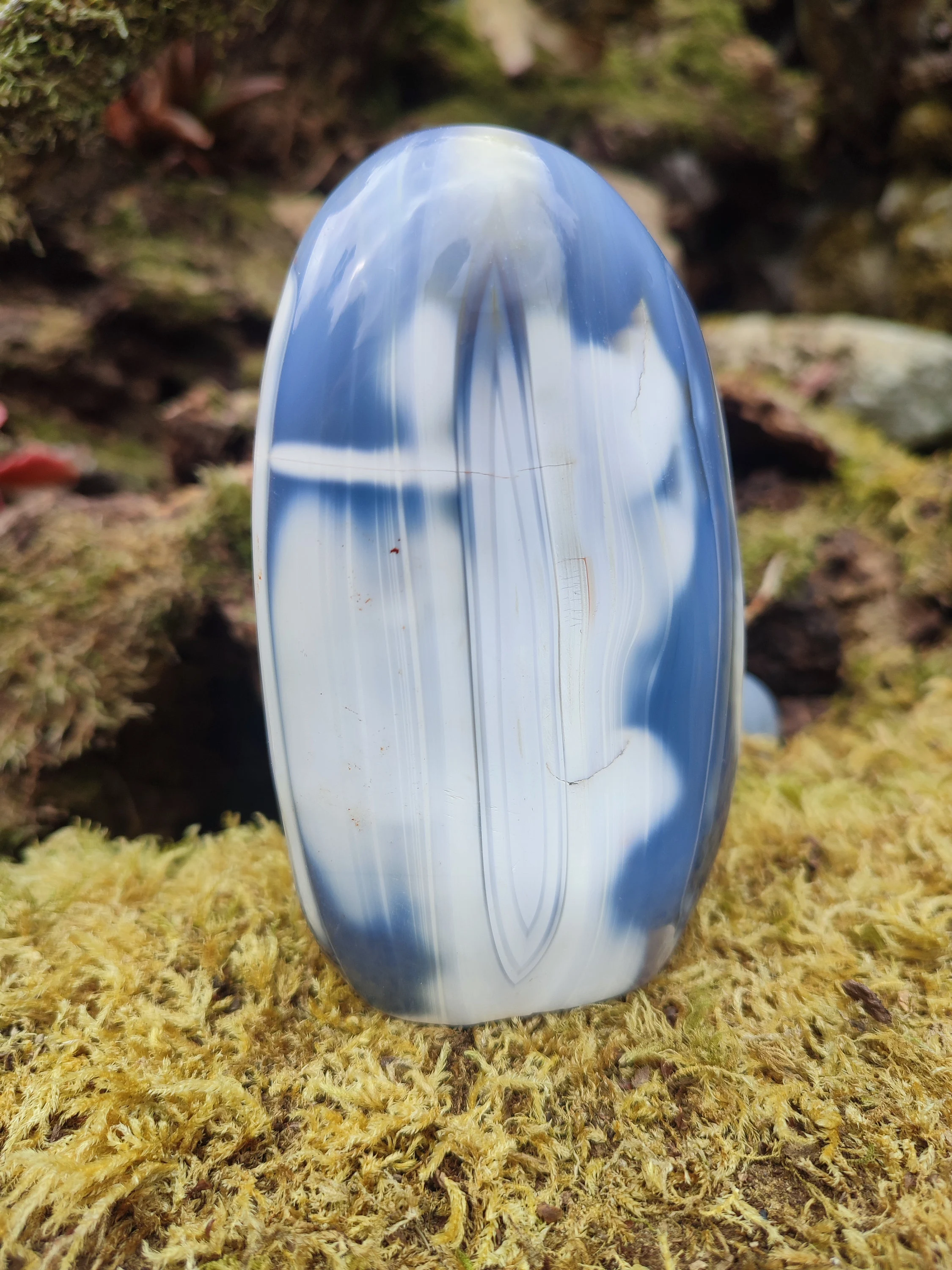 Forme libre d'Agate Orque
