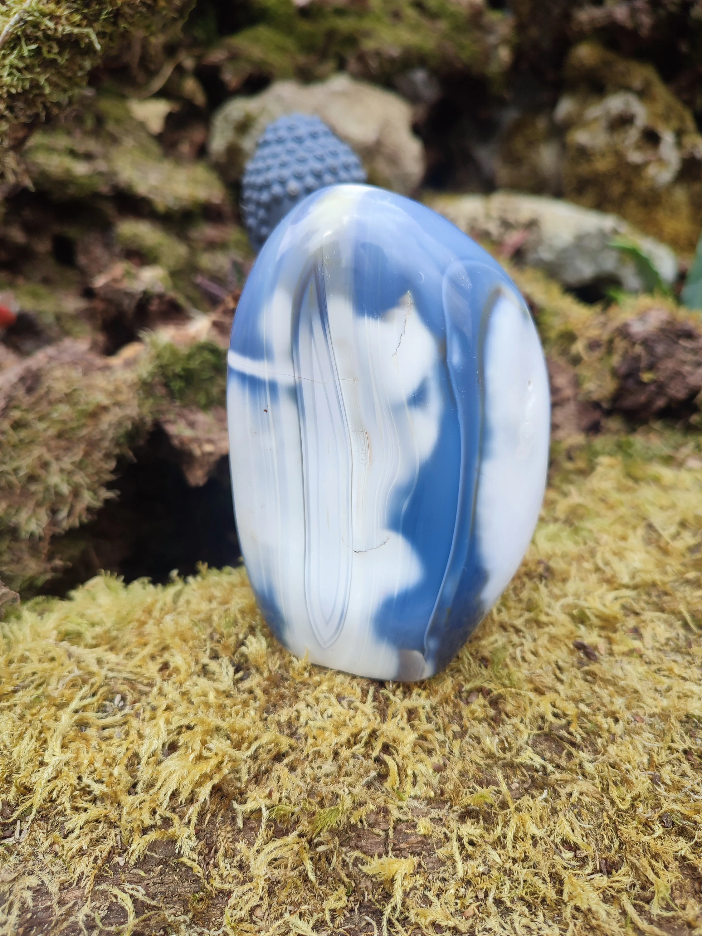 Forme libre d'Agate Orque