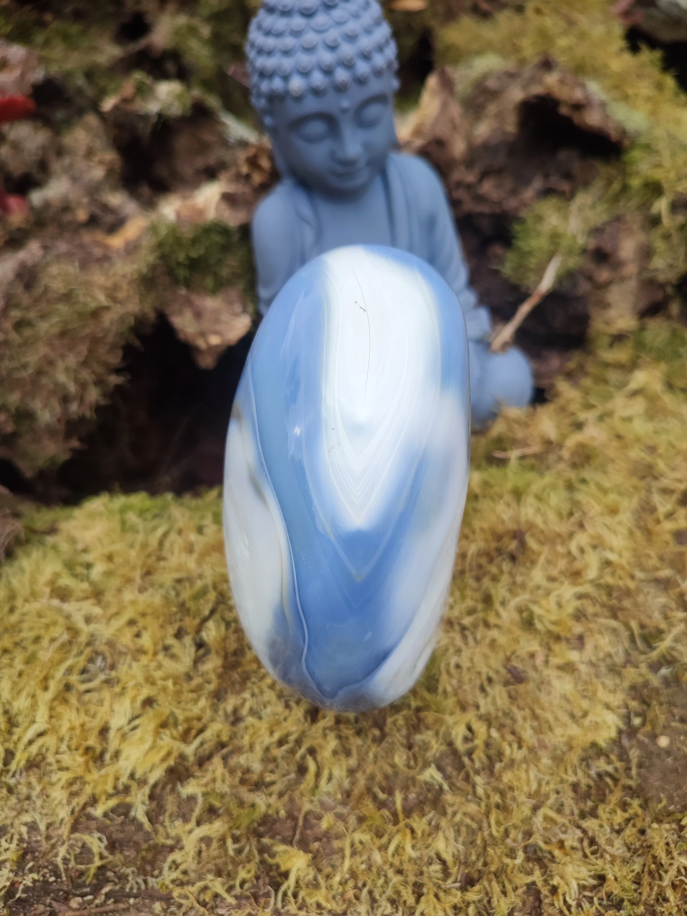 Forme libre d'Agate Orque