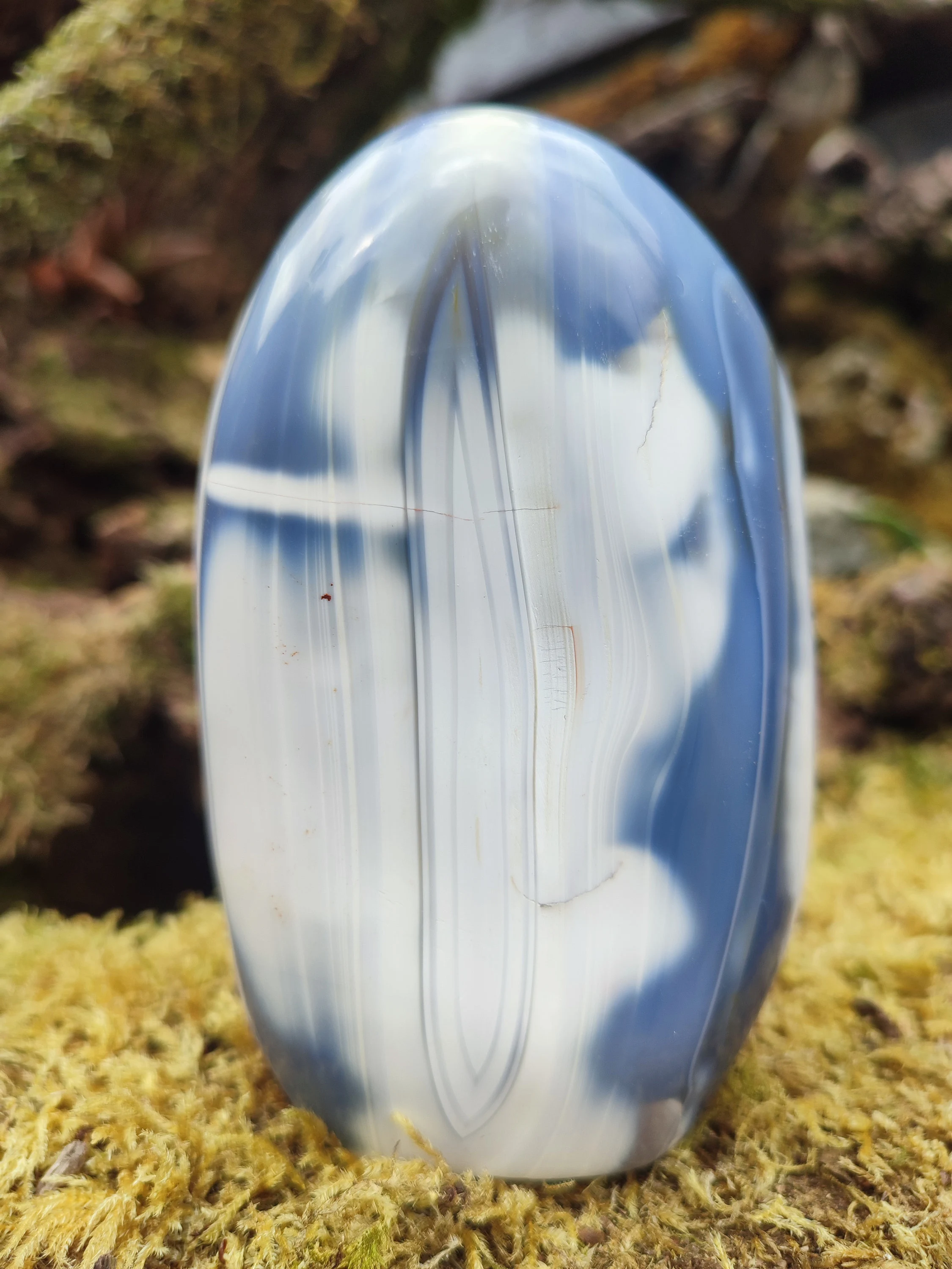 Forme libre d'Agate Orque