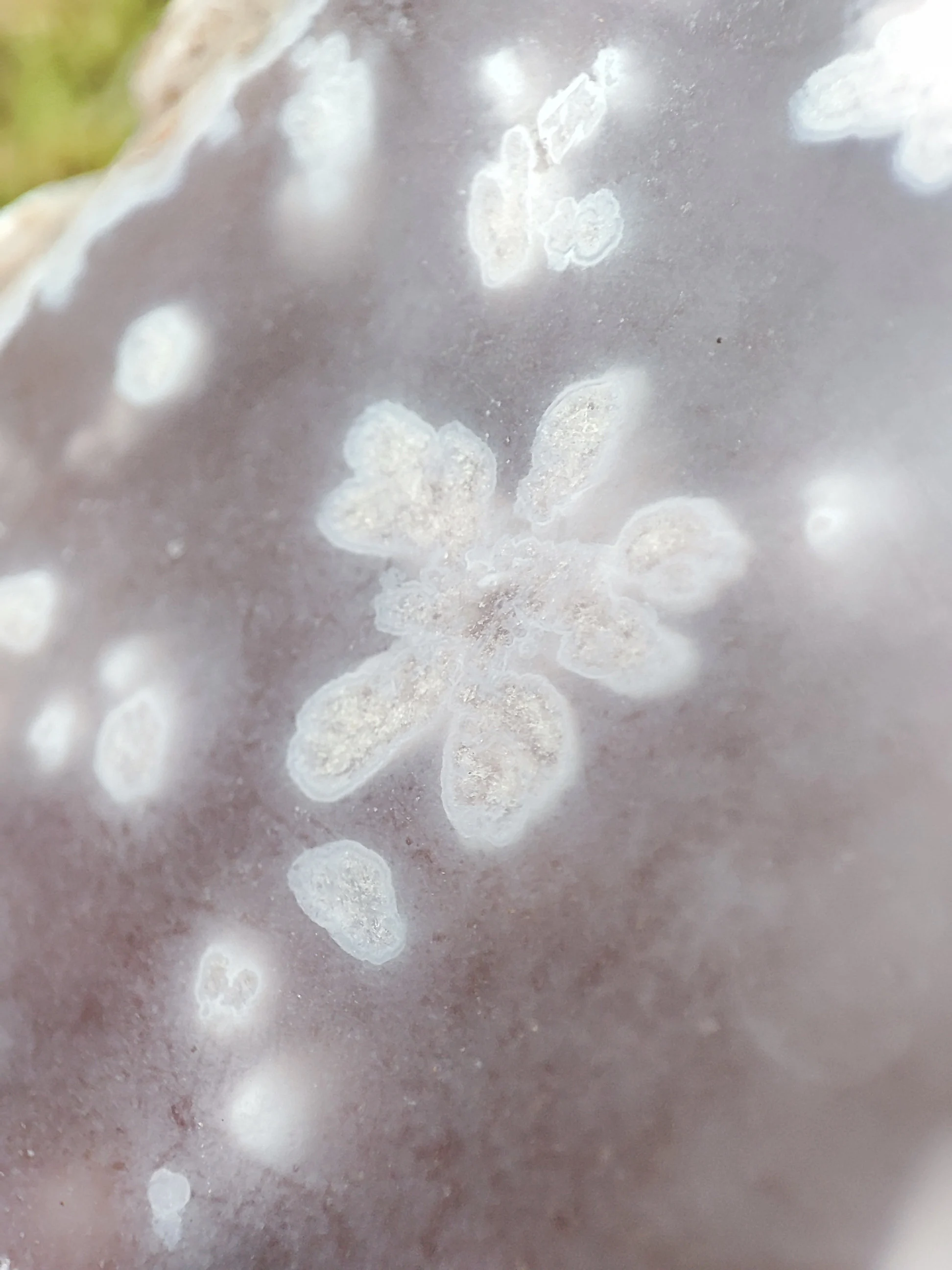Tranche D'Améthyste rose et d'Agate fleur