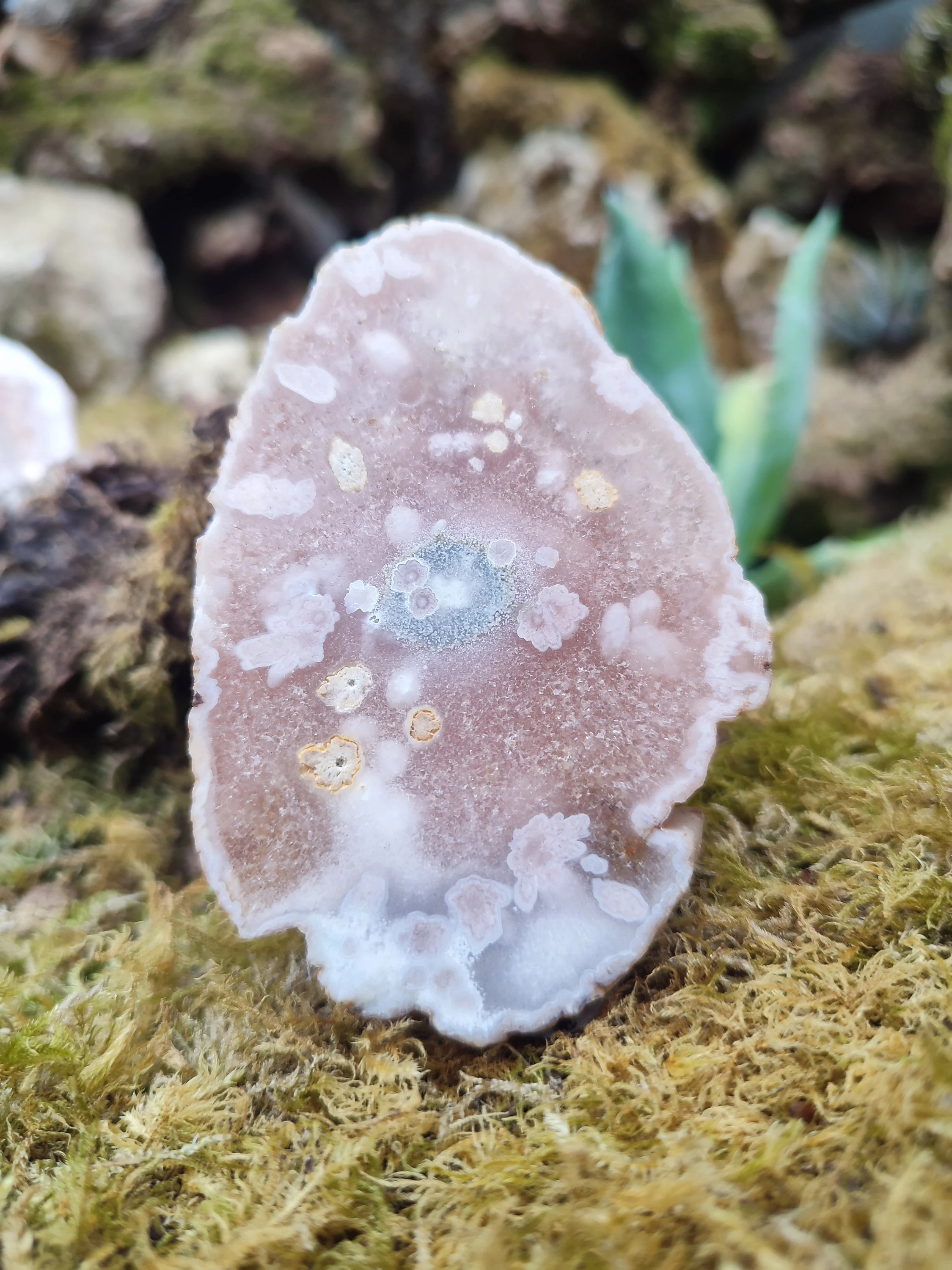 Tranche D'Améthyste rose et d'Agate fleur