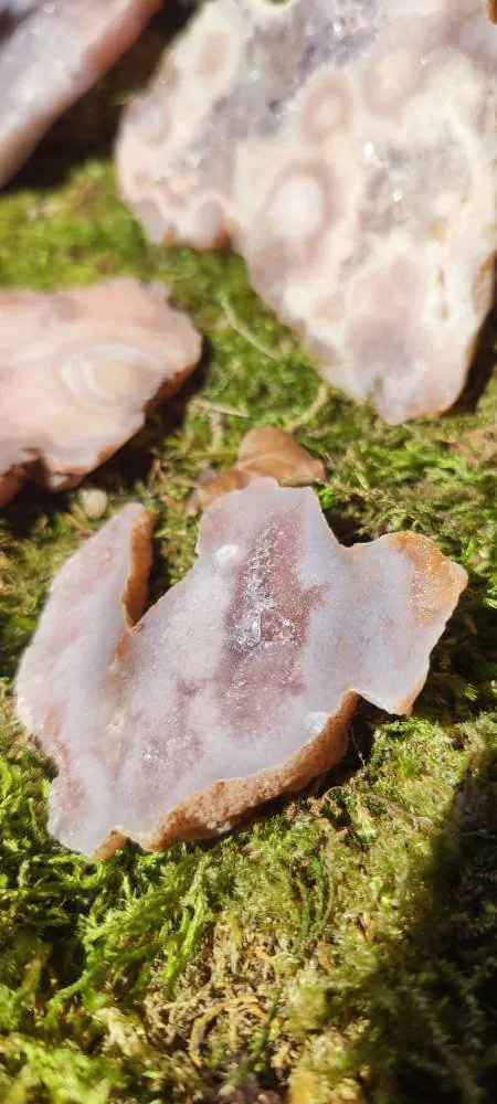 Tranche d'Améthyste rose et d'Agate fleur