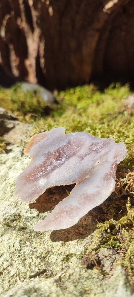 Tranche d'Améthyste rose et d'Agate fleur