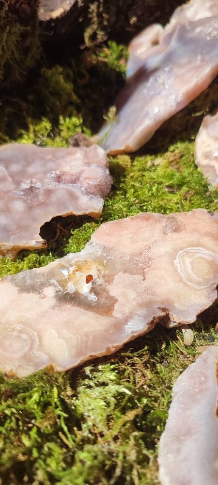Tranche d'Améthyste rose et d'Agate fleur