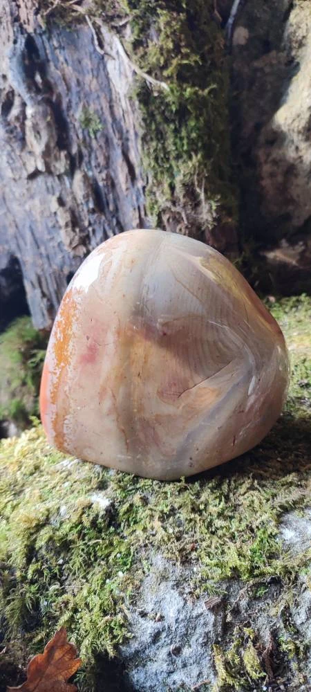 Forme libre Jaspe Polychrome
