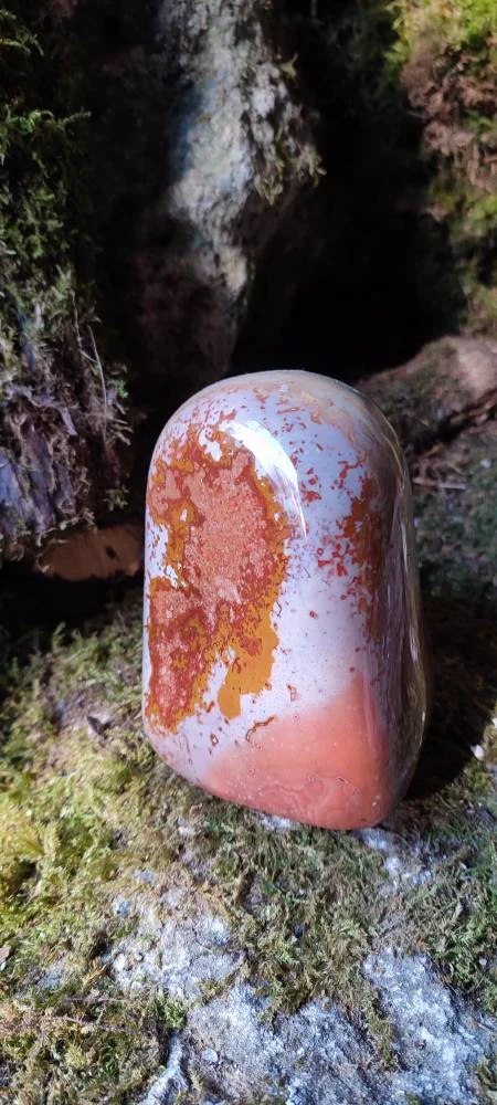 Forme libre Jaspe Polychrome