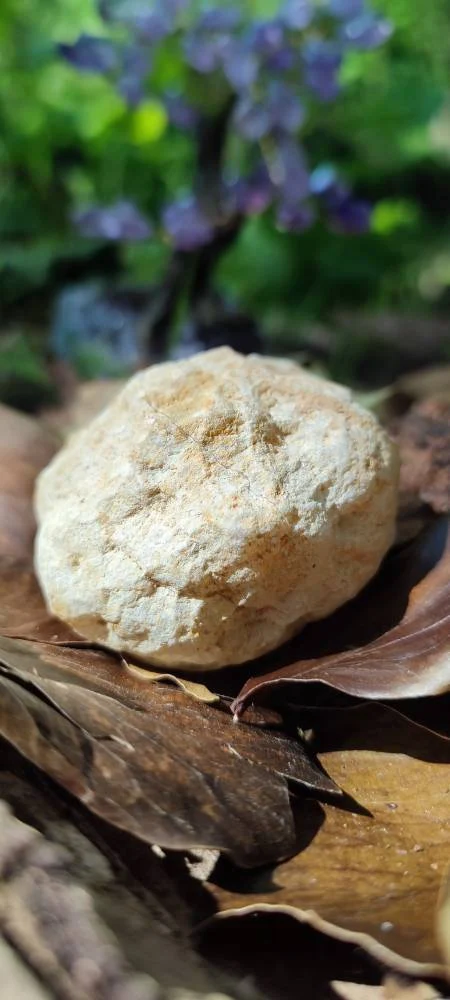 Géode entière Quartz blanc AAA