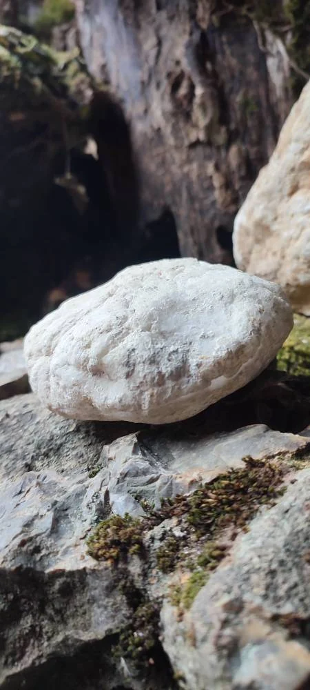 Géode entière Quartz blanc AAA