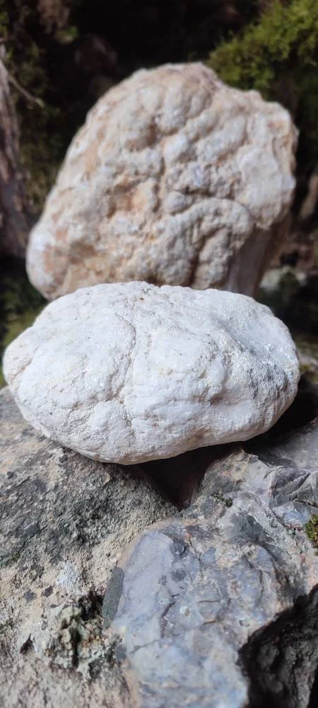Géode entière Quartz blanc AAA