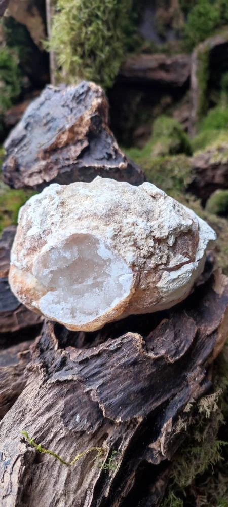 Géode entière Quartz blanc AAA