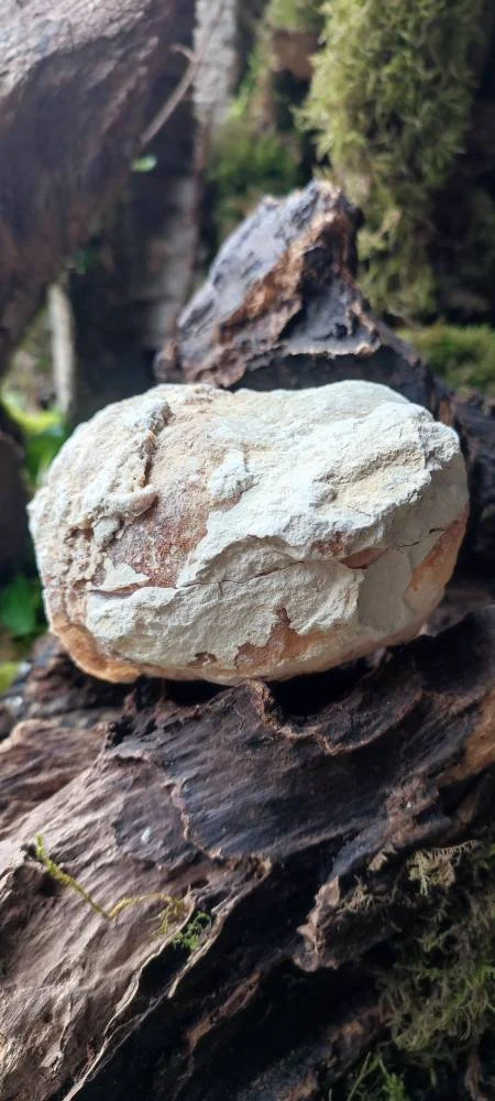 Géode entière Quartz blanc AAA