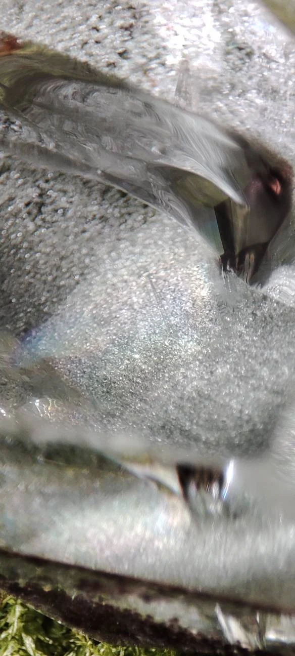 Forme libre Lodolite