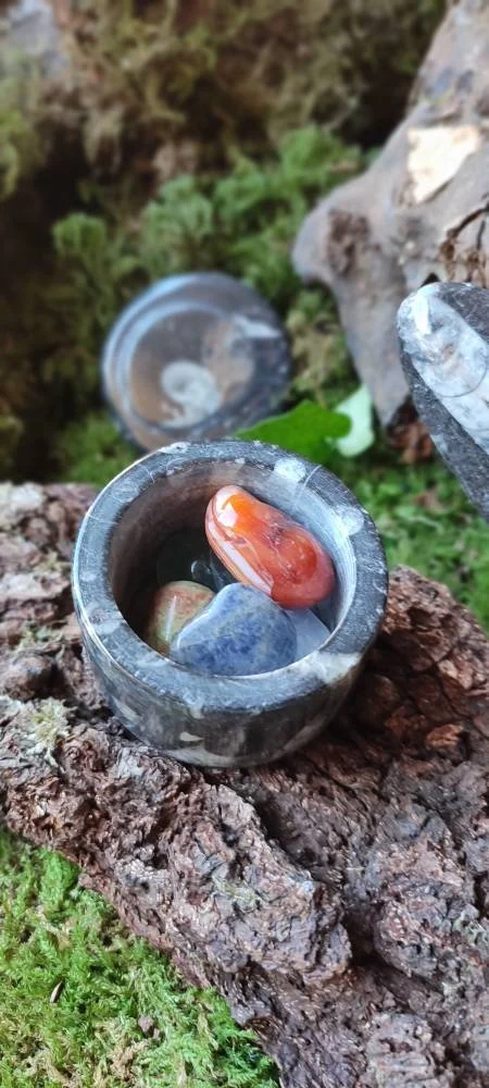 Boite à bijoux en Orthocéras