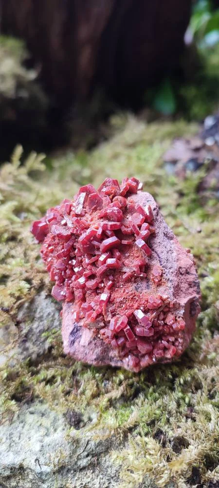 Amas de Vanadinite