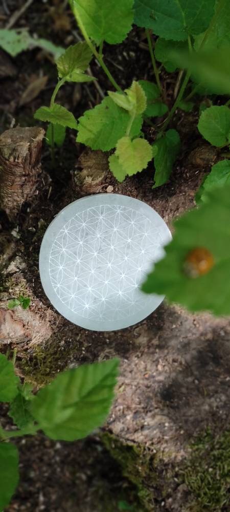 Disque sélénite gravé Fleur de Vie 8 cm