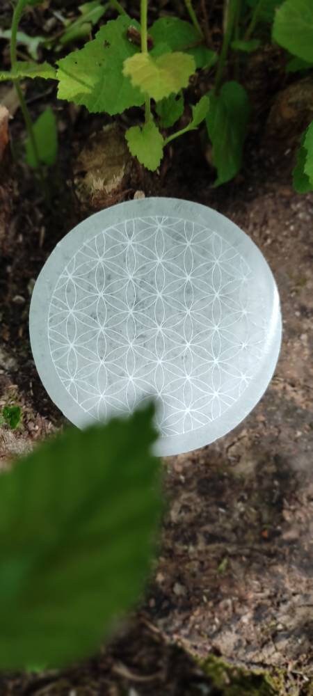 Disque sélénite gravé Fleur de Vie 8 cm