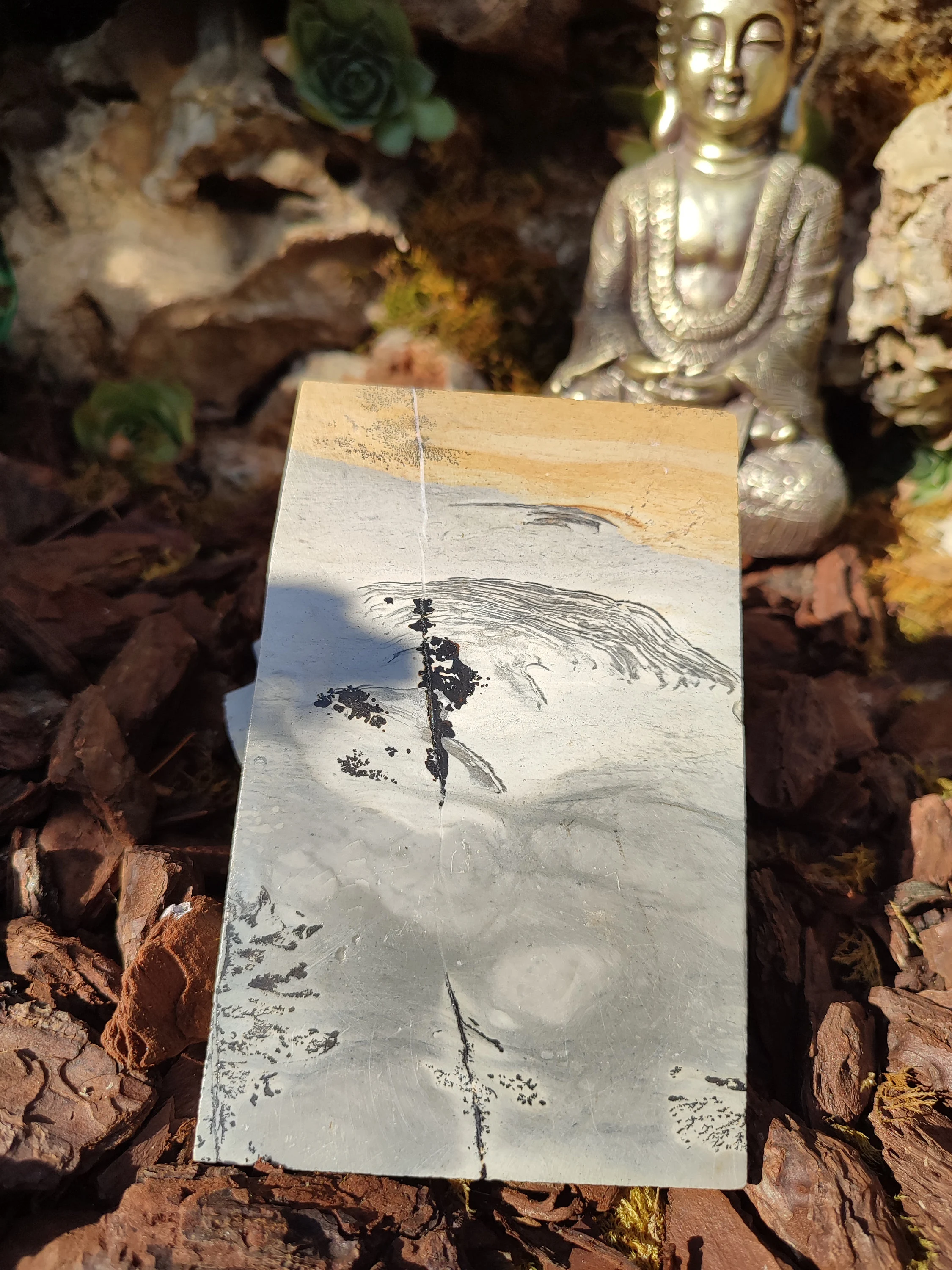 Plaque de Jaspe paysage