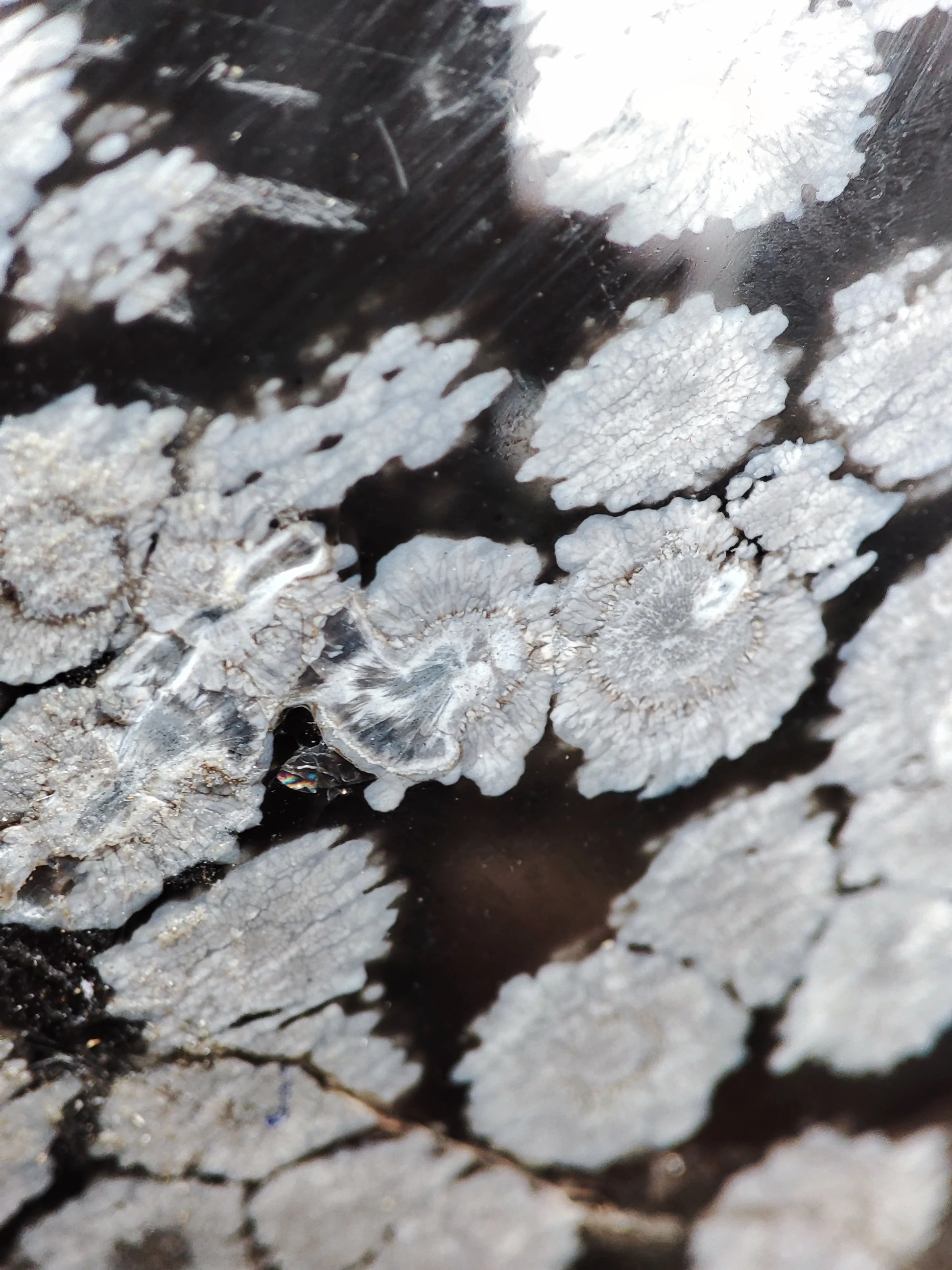 Sphère Obsidienne flocon de neige