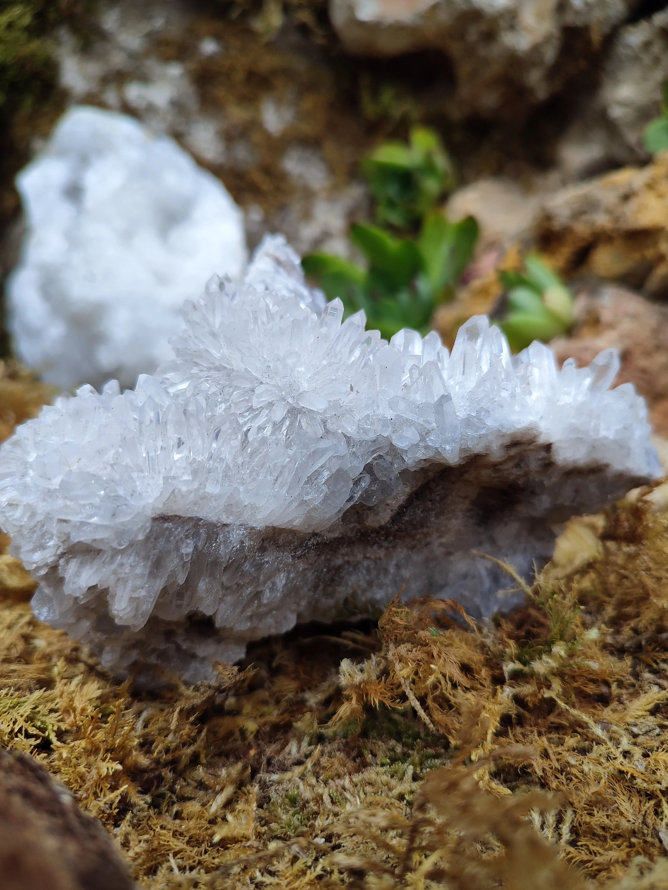 Amas de Cristal de Roche aiguille