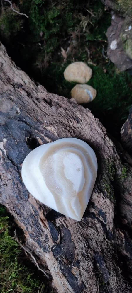 Coupelle d'Onyx Marbre forme coeur