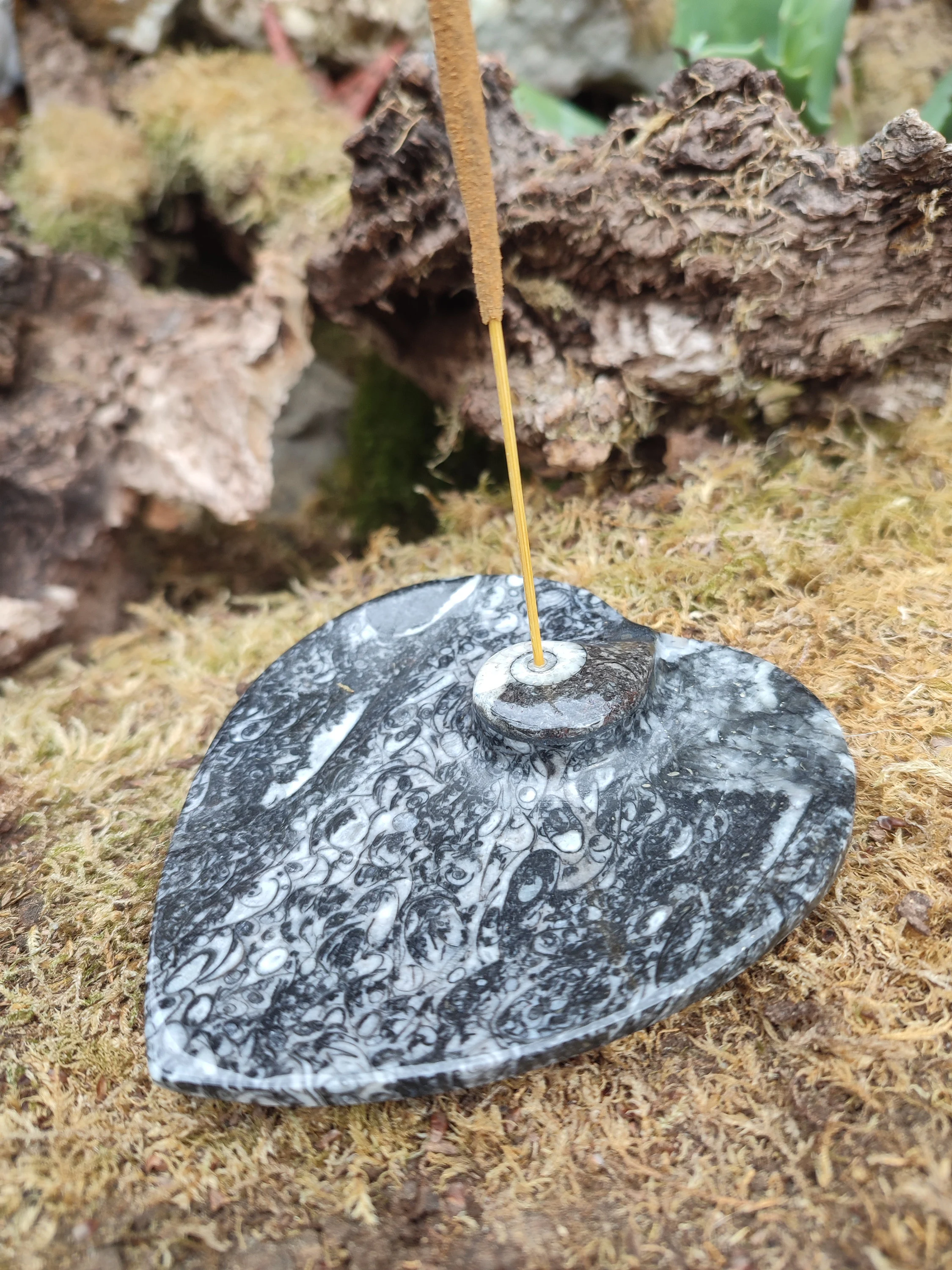 Porte encens Orthocéras forme coeur