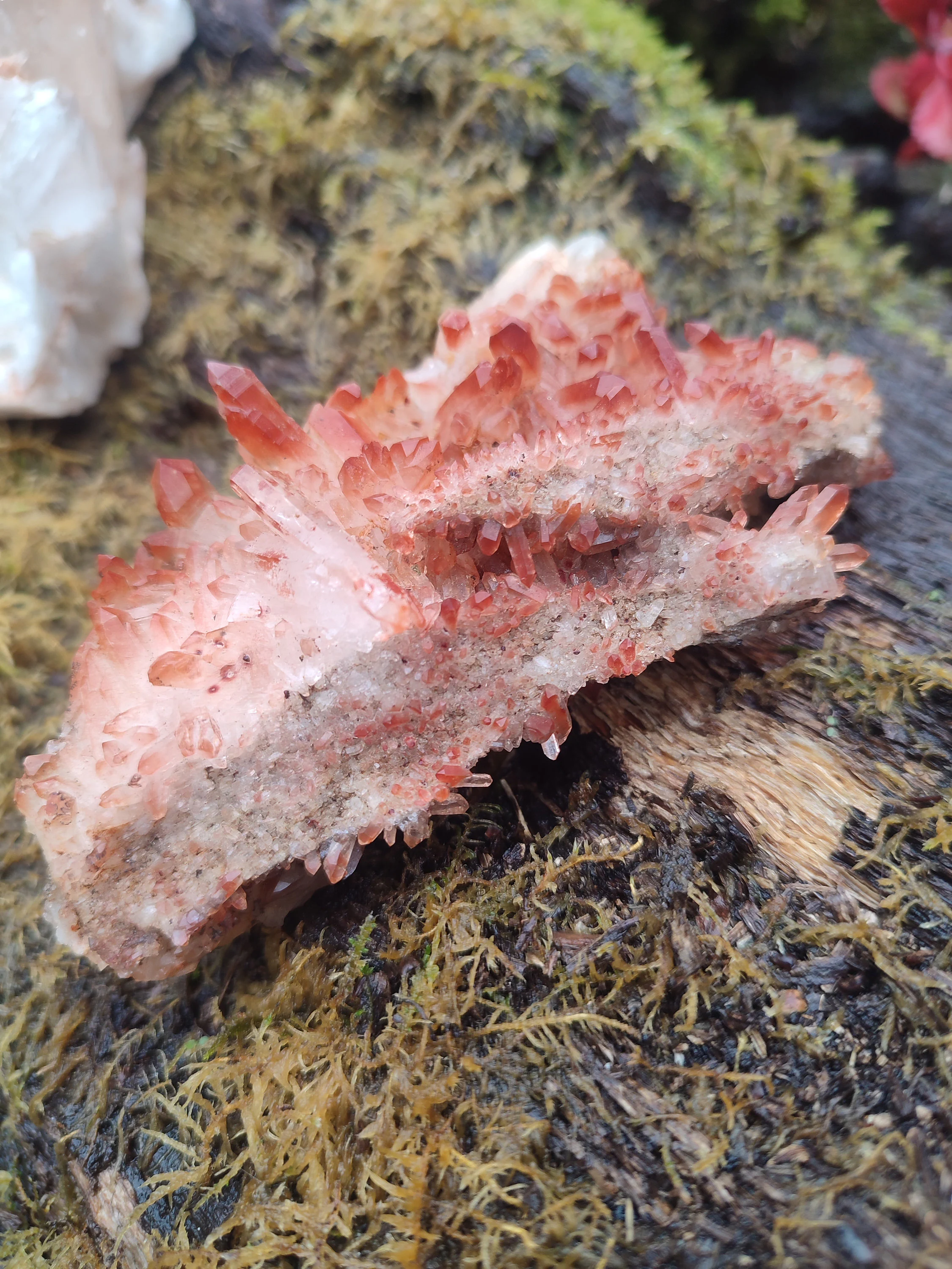 Amas de Quartz HématoÏde