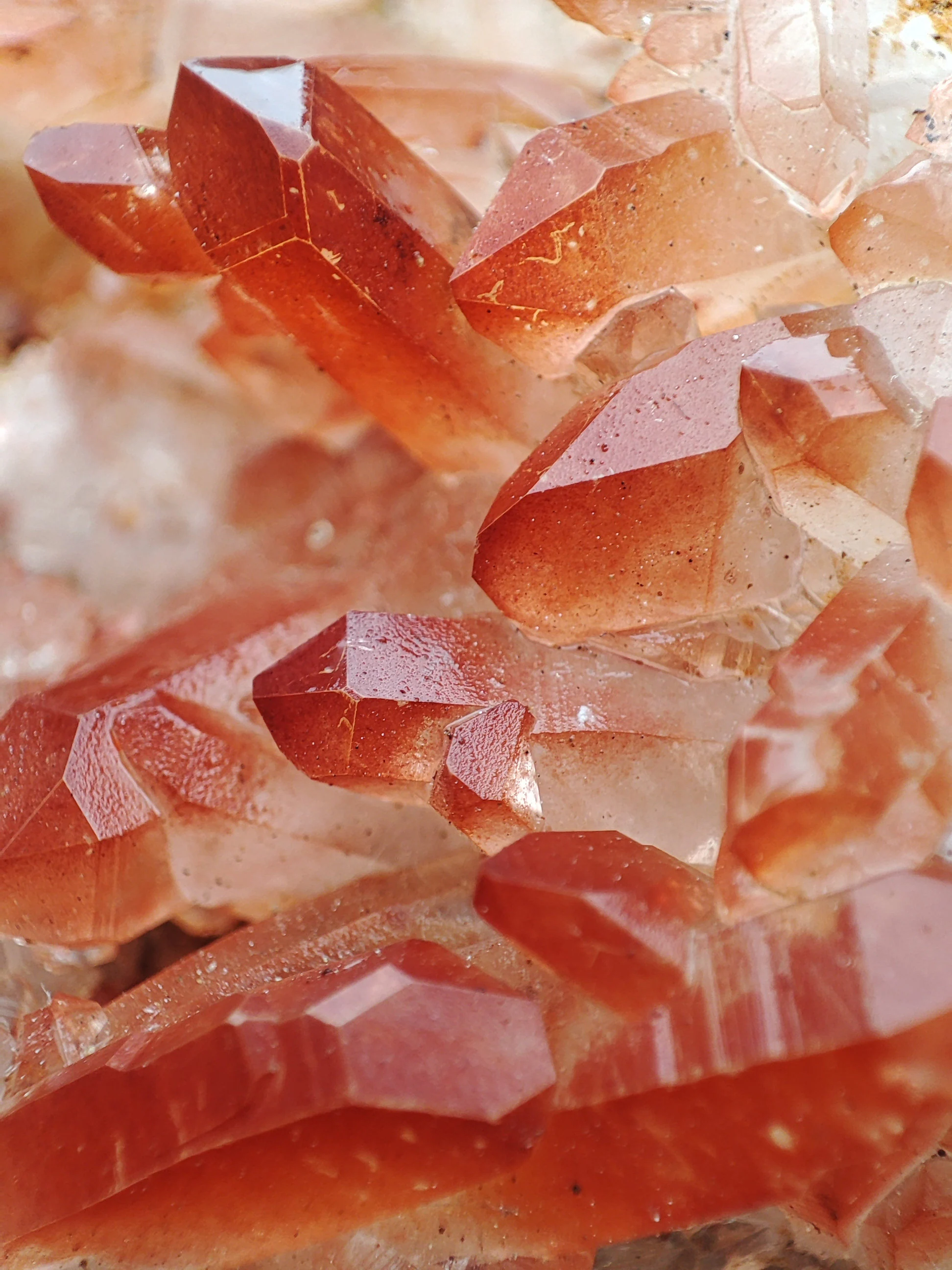 Amas de Quartz HématoÏde