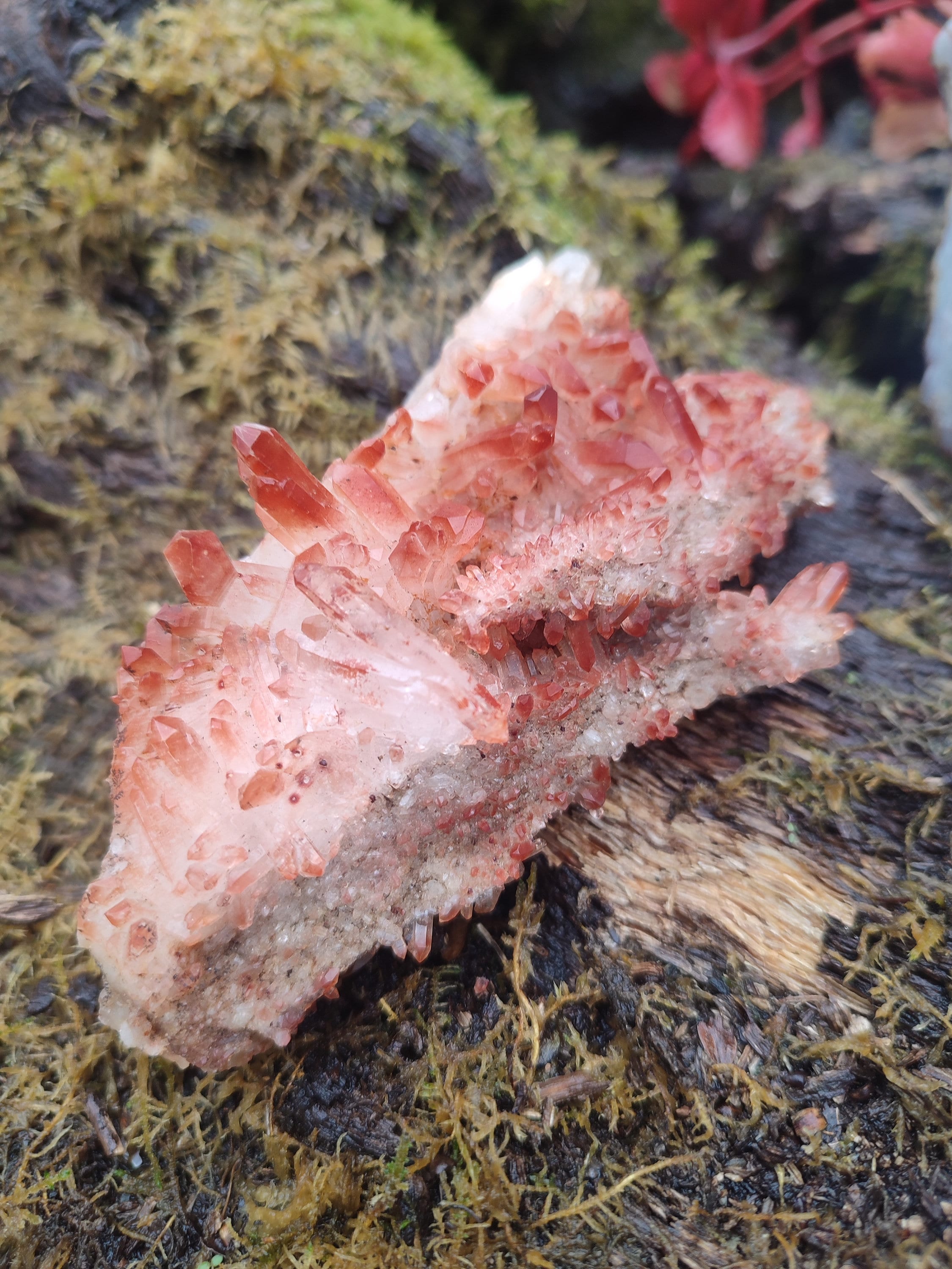 Amas de Quartz HématoÏde