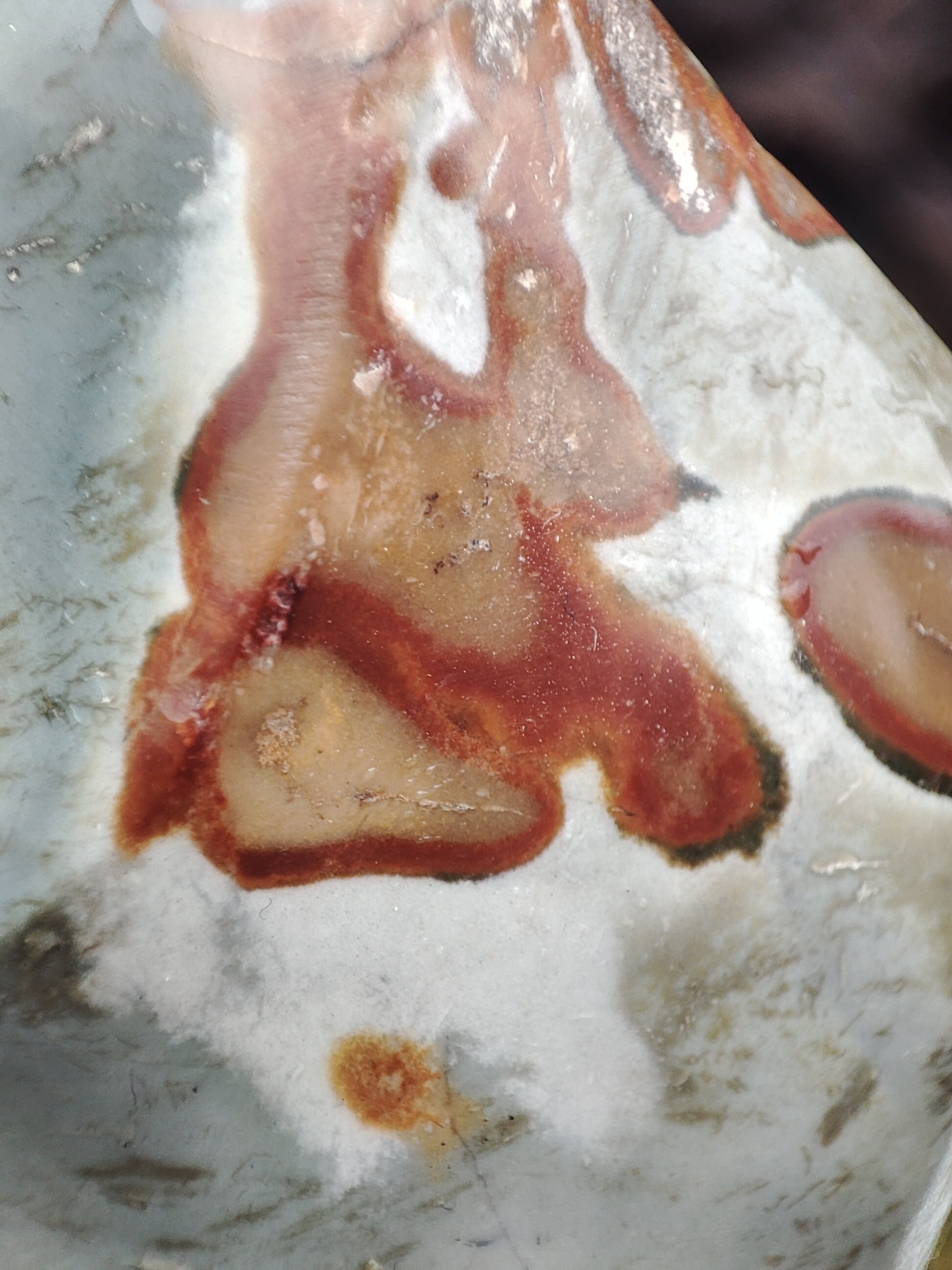 Forme libre Jaspe Polychrome