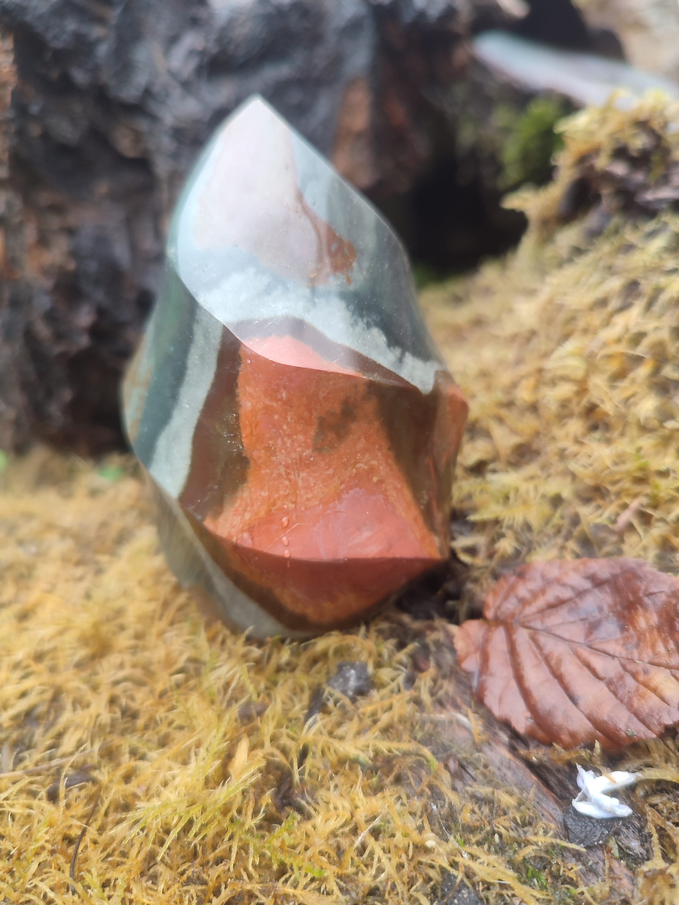 Forme libre Jaspe Polychrome