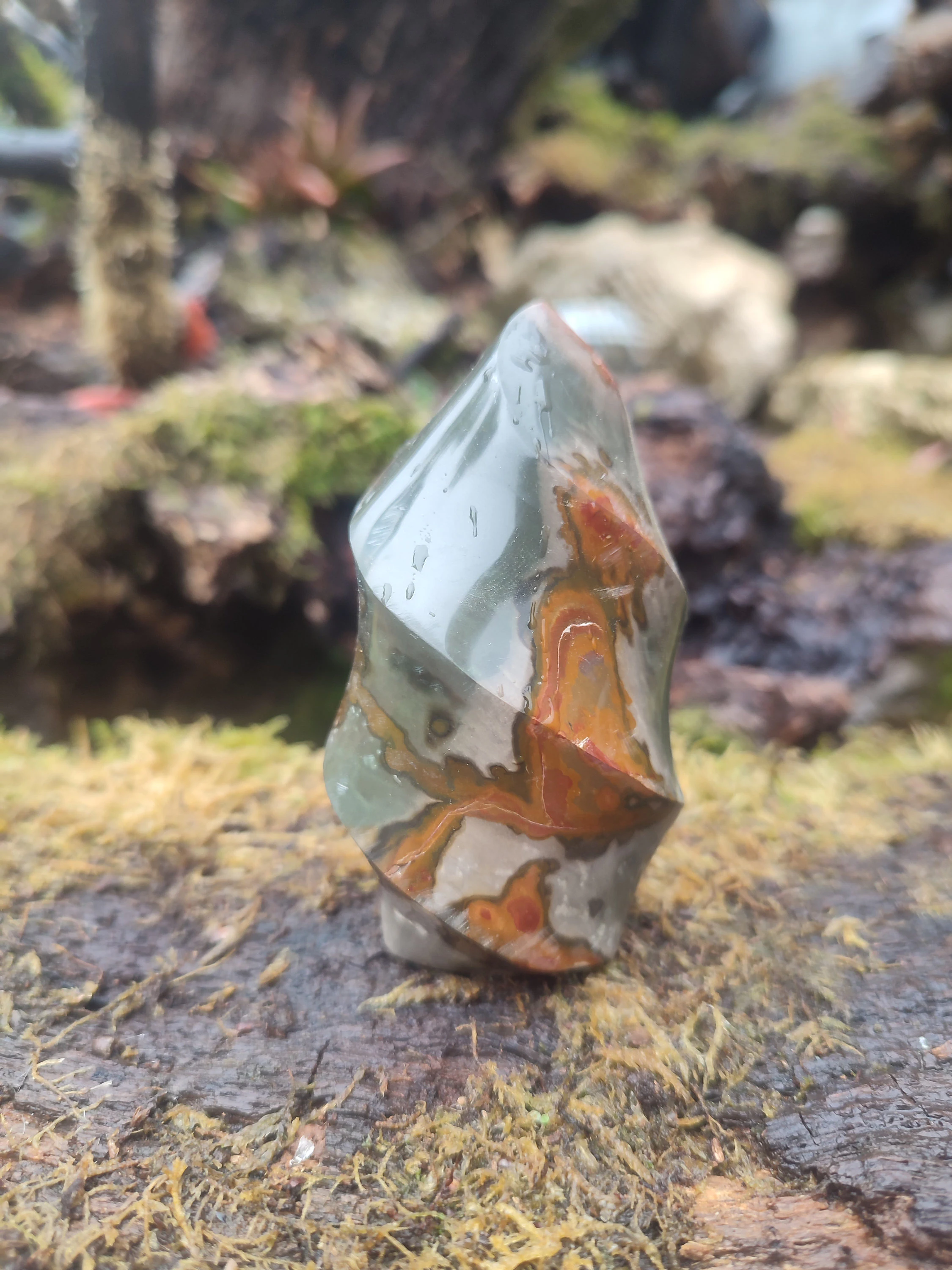 Forme libre Jaspe Polychrome
