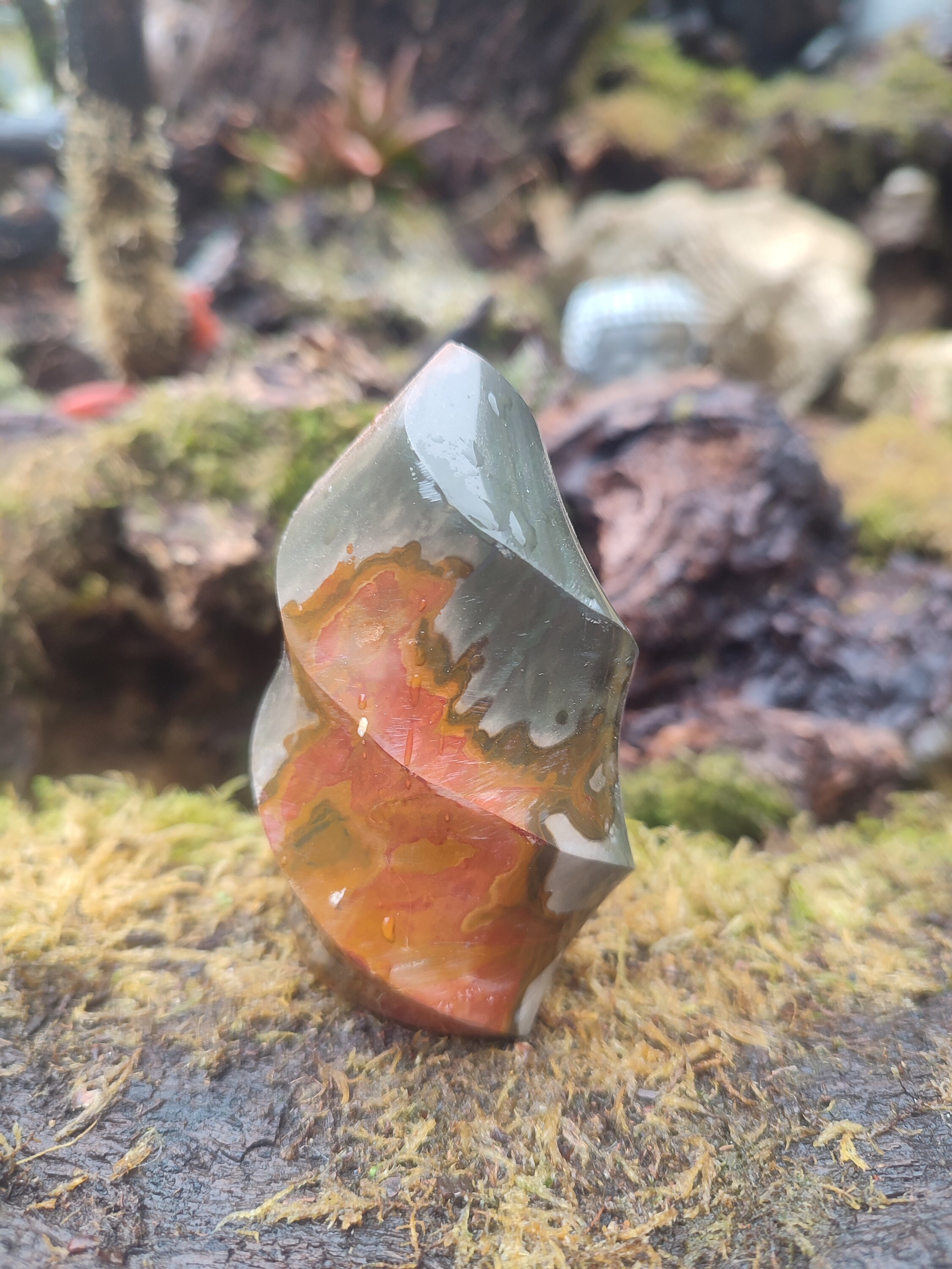 Forme libre Jaspe Polychrome