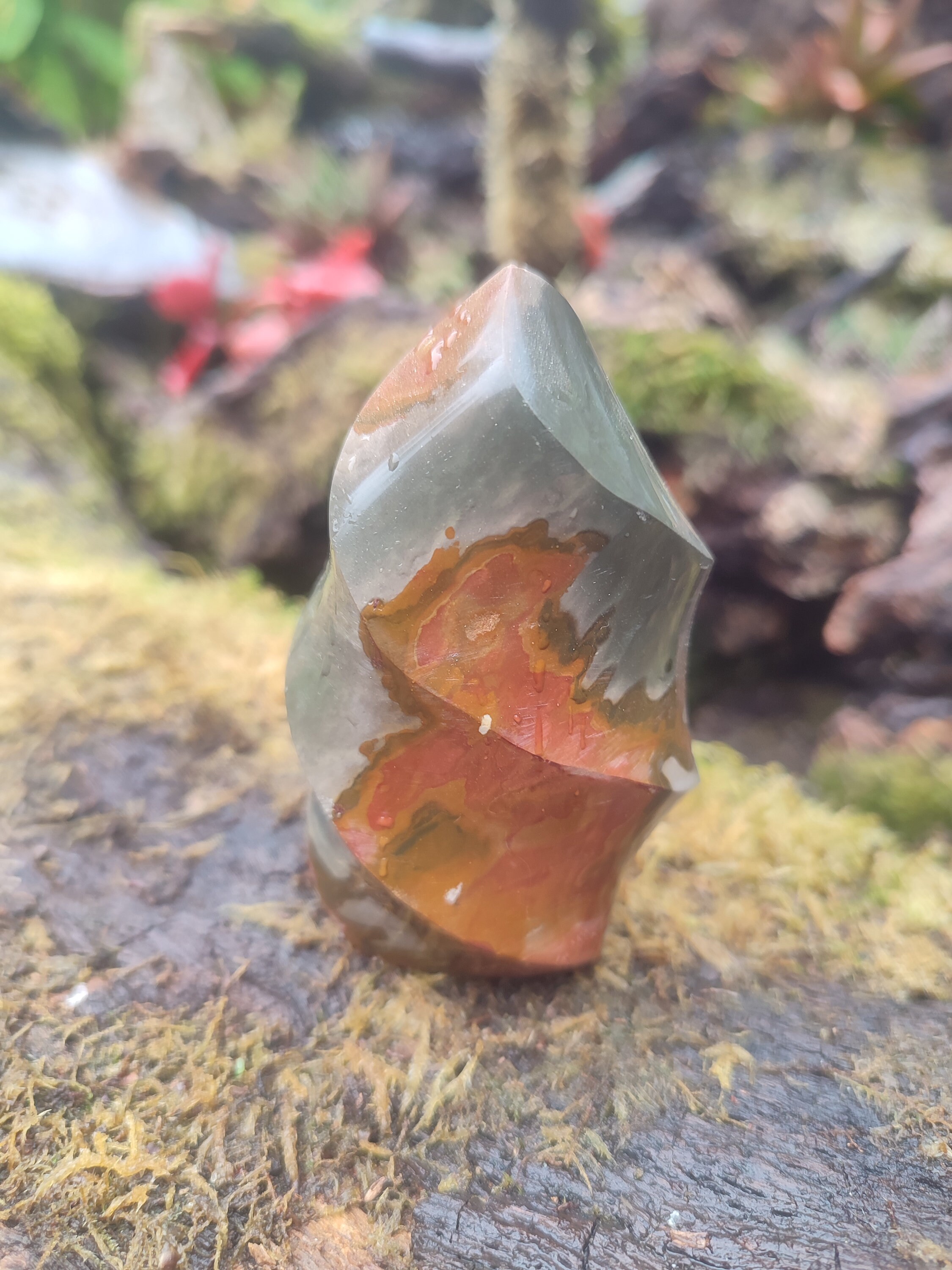 Forme libre Jaspe Polychrome