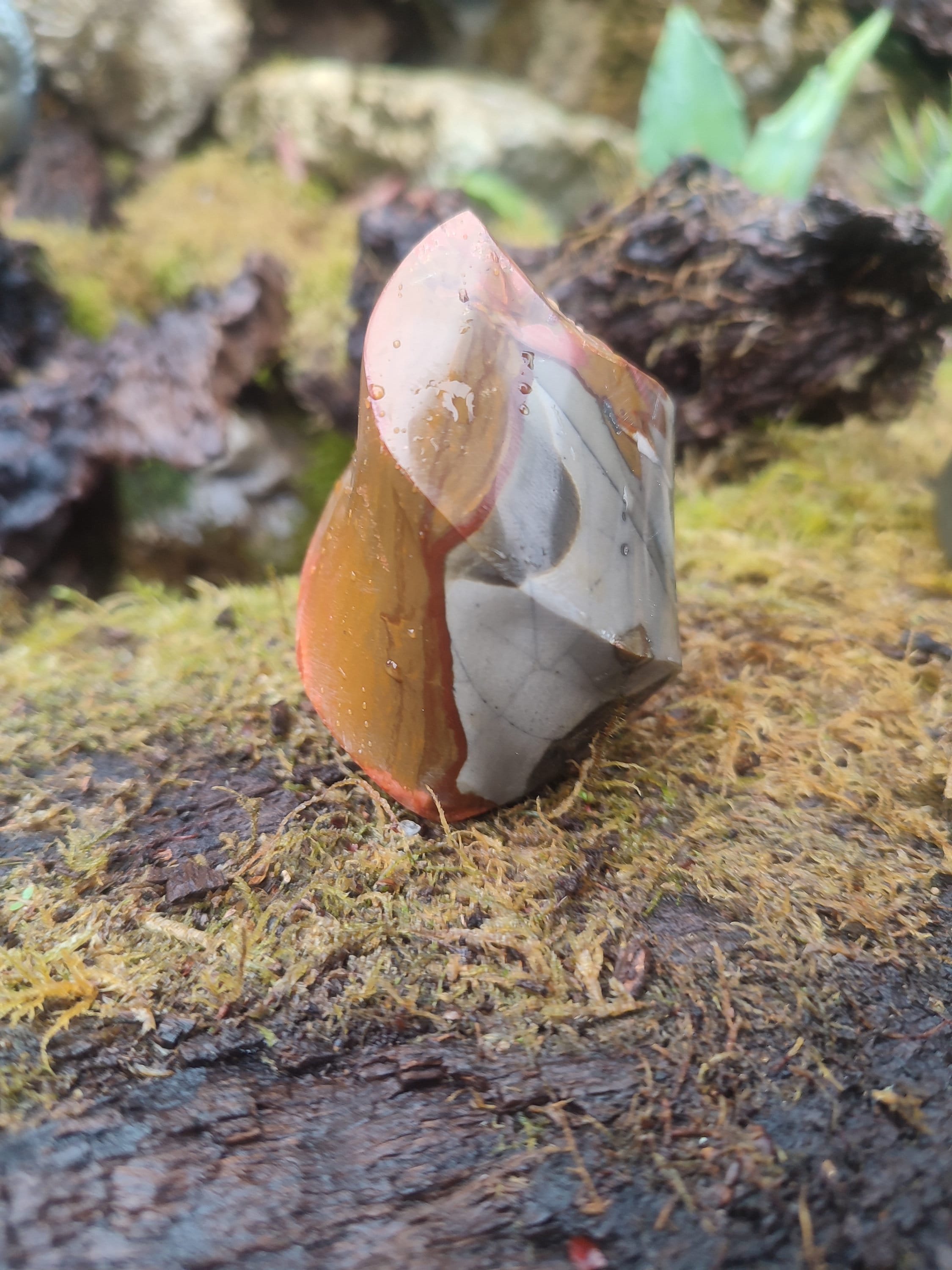 Forme libre Jaspe Polychrome