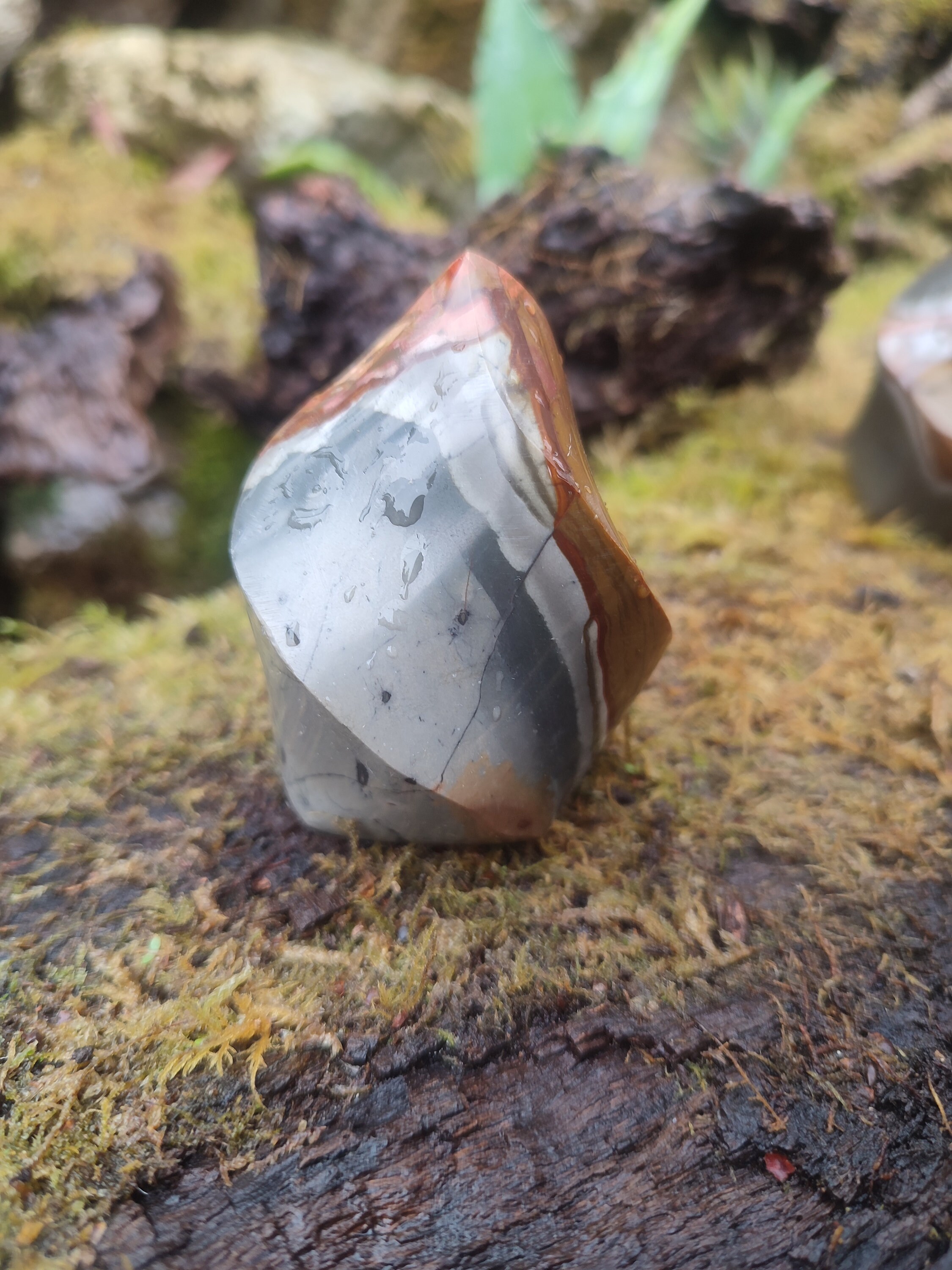 Forme libre Jaspe Polychrome