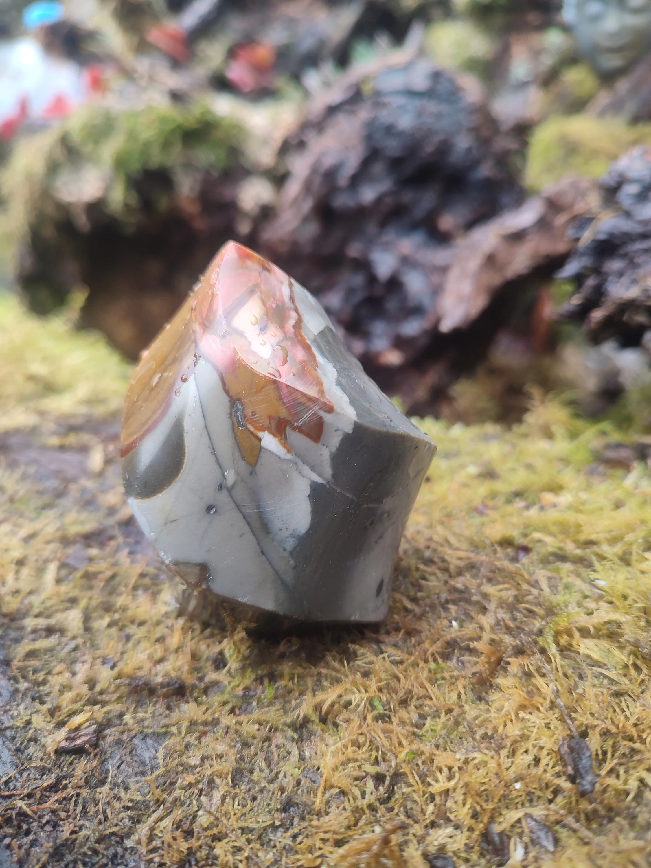 Forme libre Jaspe Polychrome