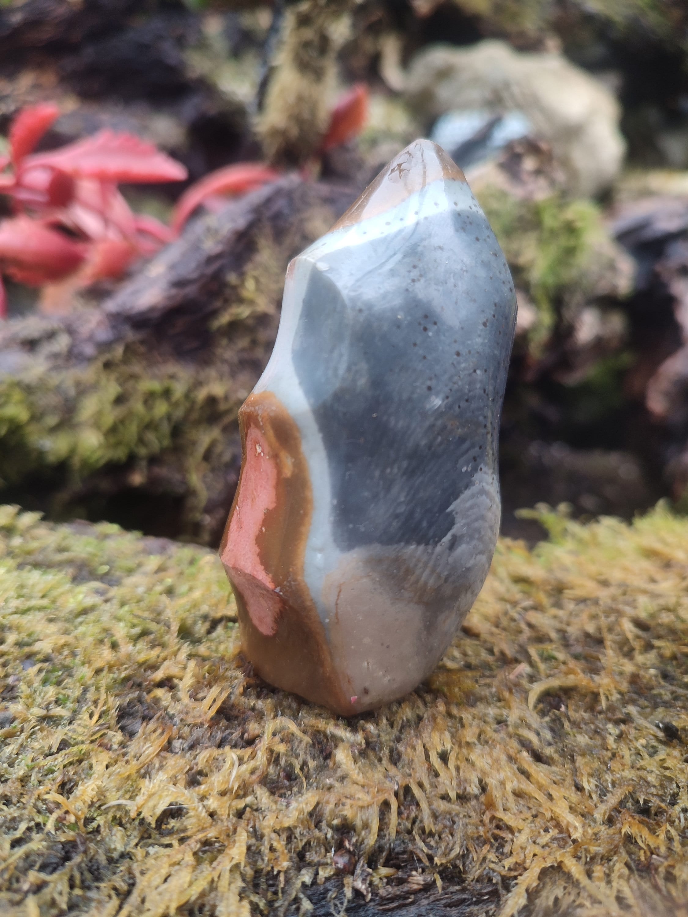 Forme libre Jaspe Polychrome