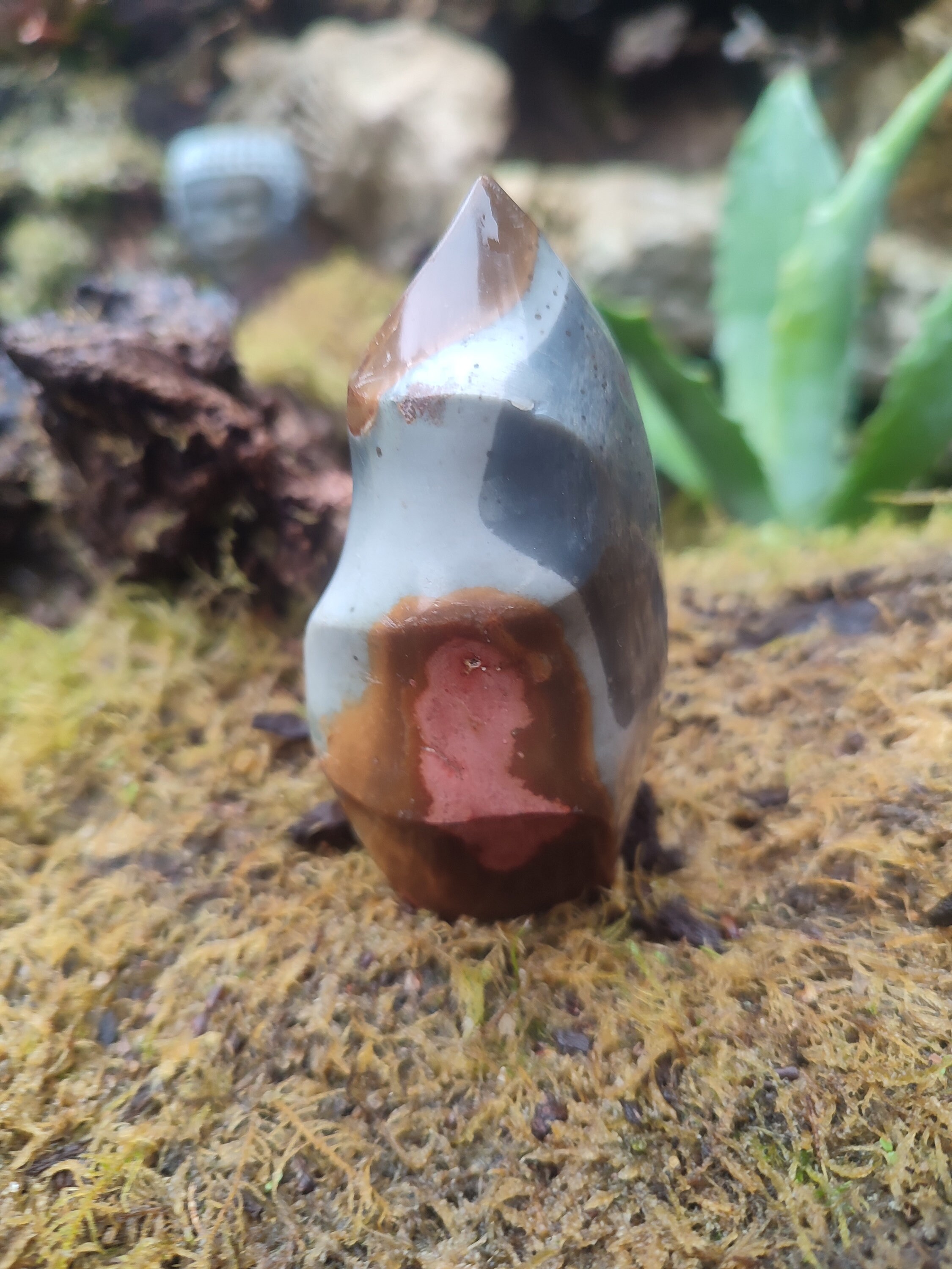 Forme libre Jaspe Polychrome