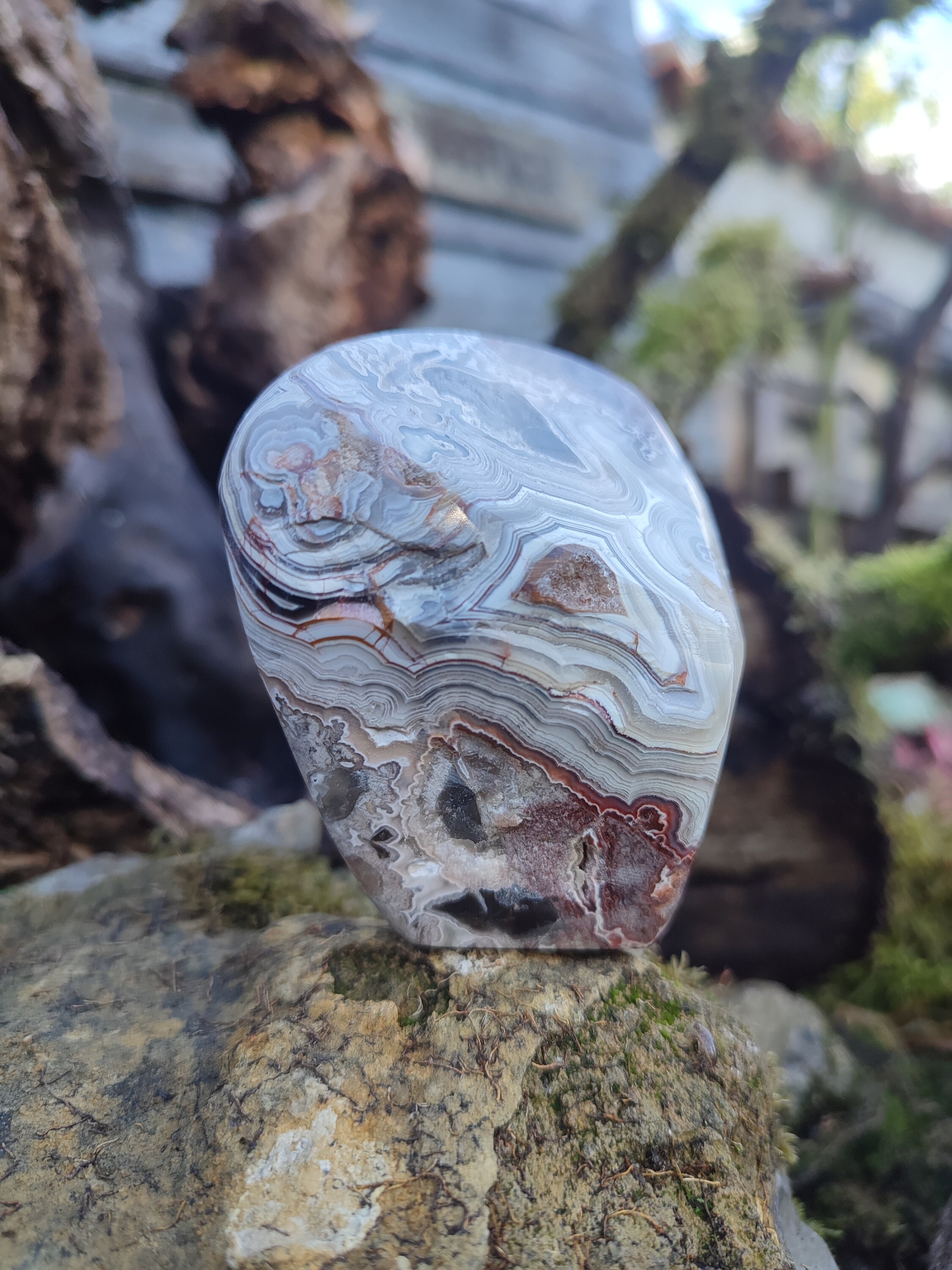 Forme libre d'agate Crazy Lase