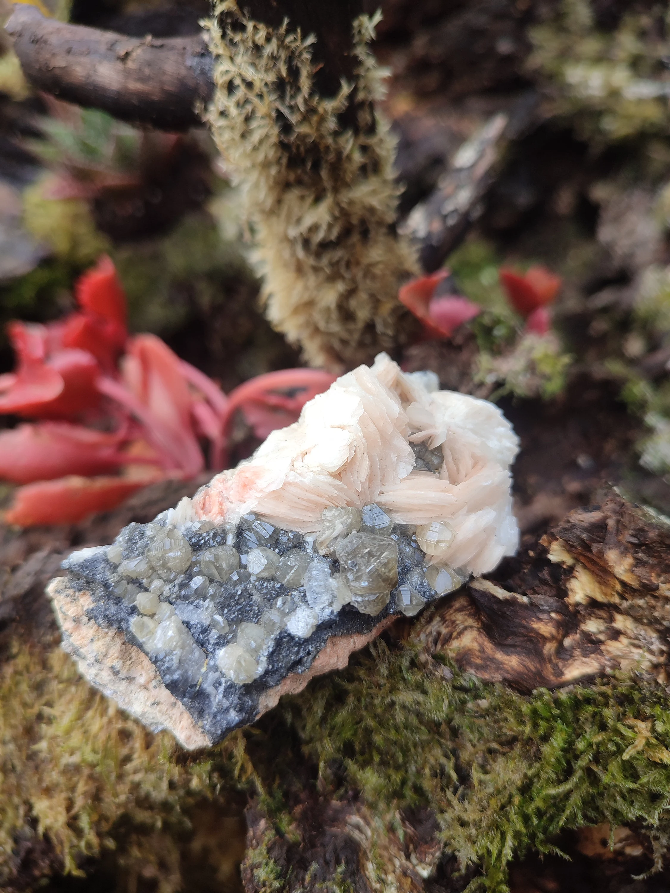 Amas de Cérusite, Baryte et Galène