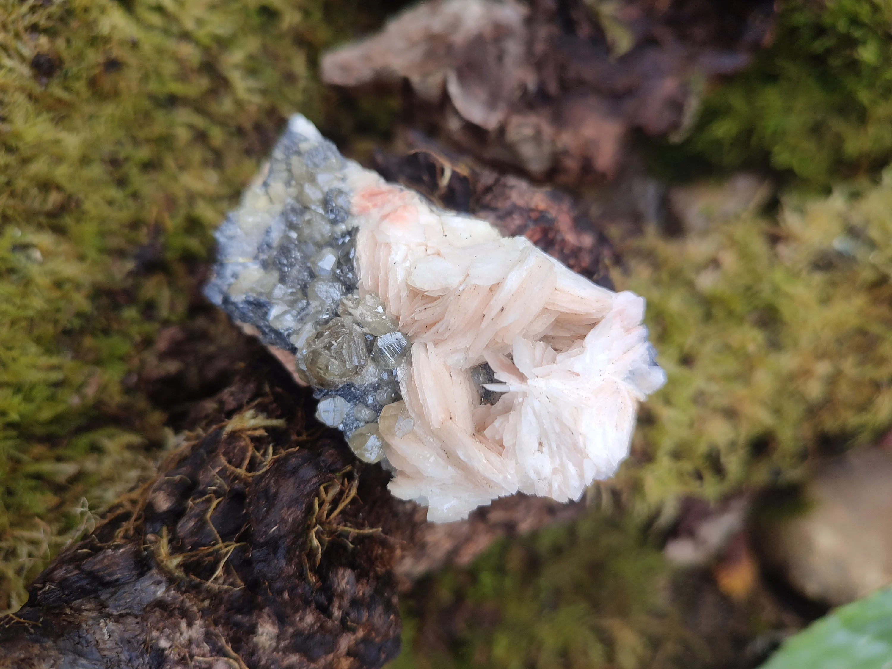 Amas de Cérusite, Baryte et Galène