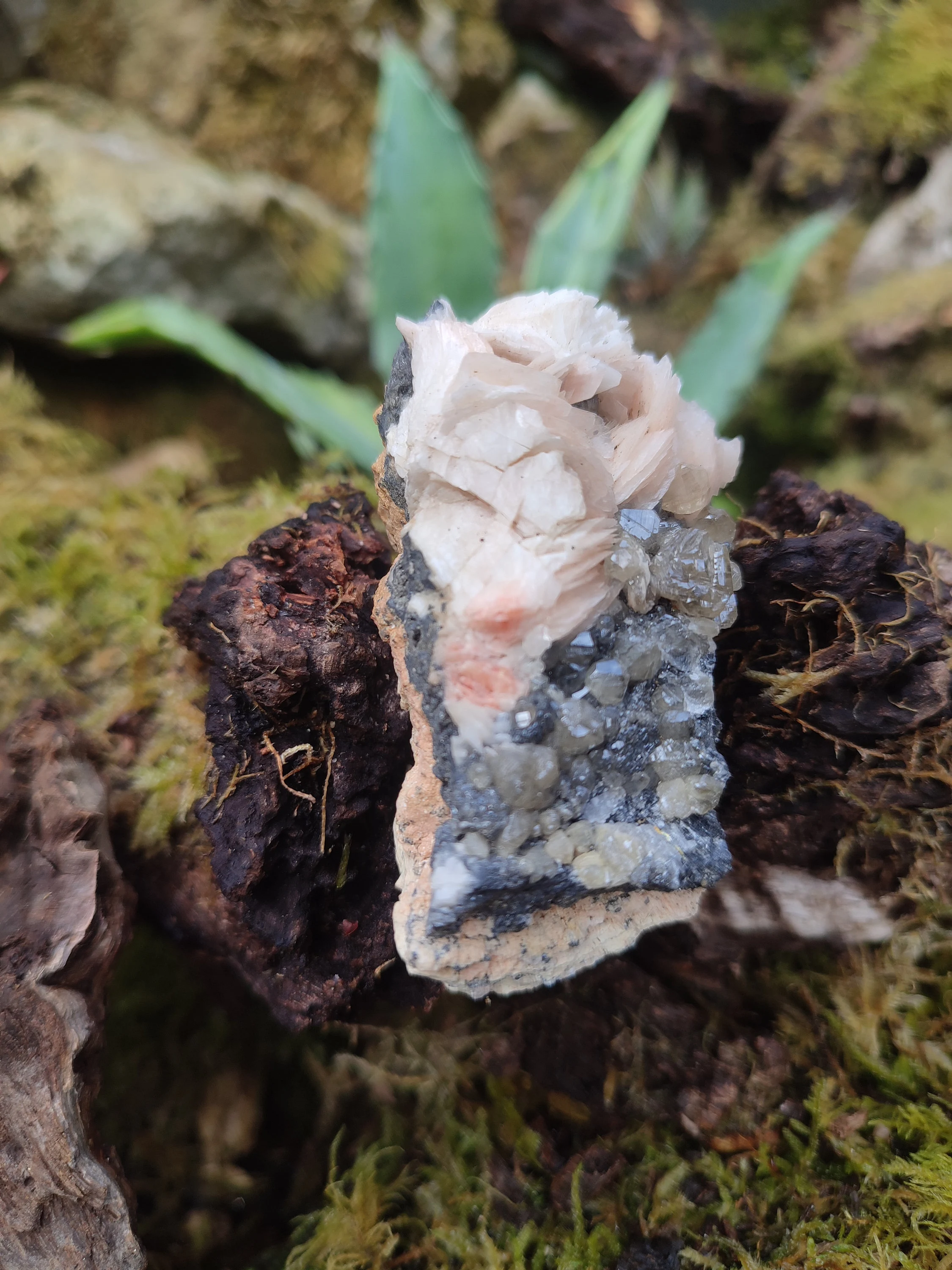 Amas de Cérusite, Baryte et Galène