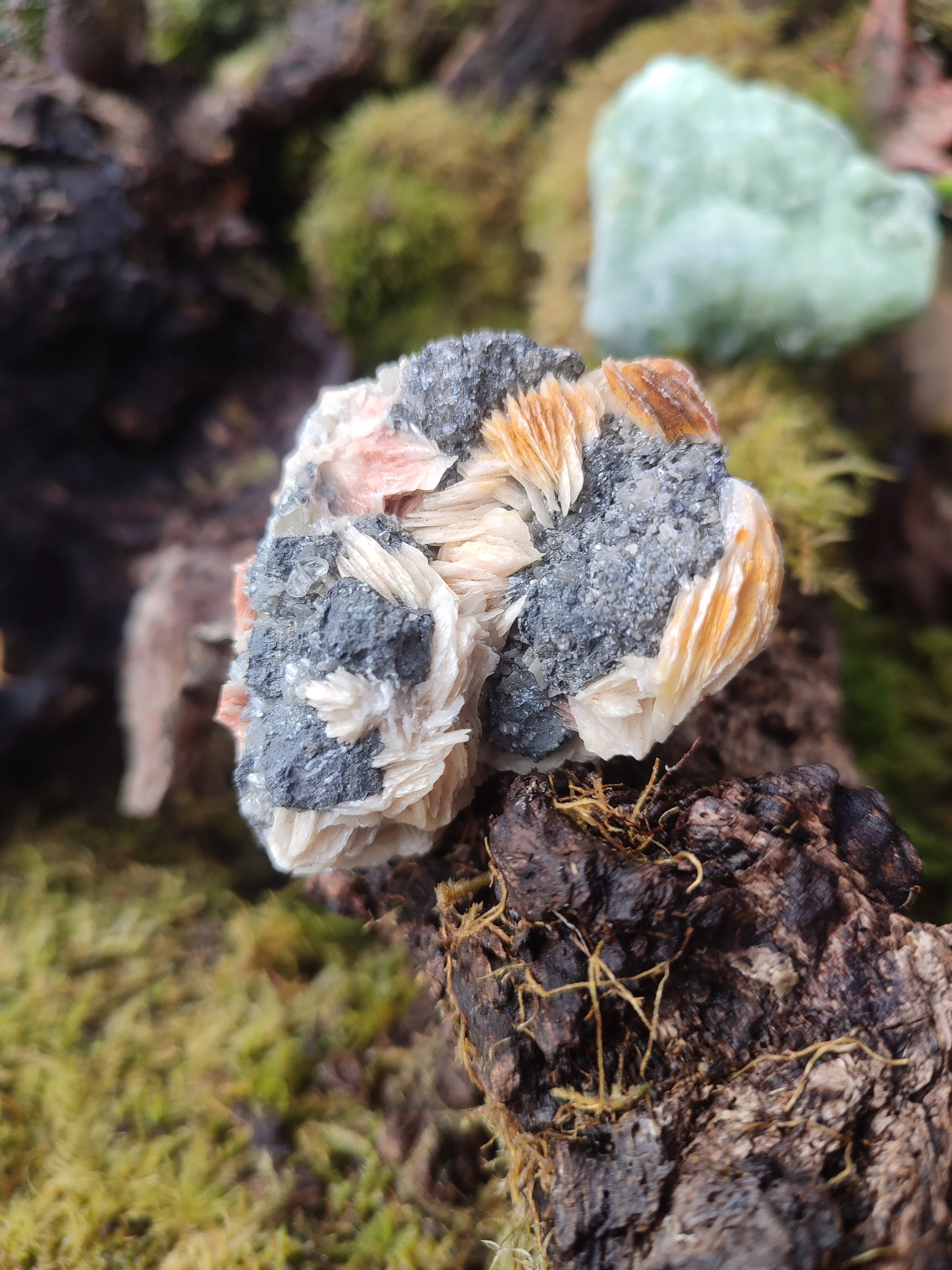Amas de Cérusite, Baryte et Galène