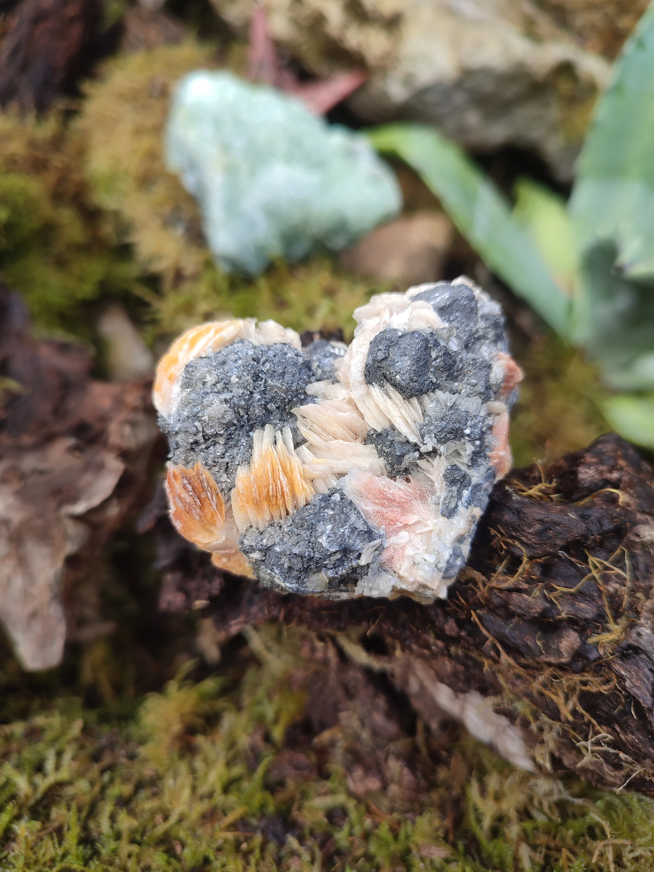 Amas de Cérusite, Baryte et Galène
