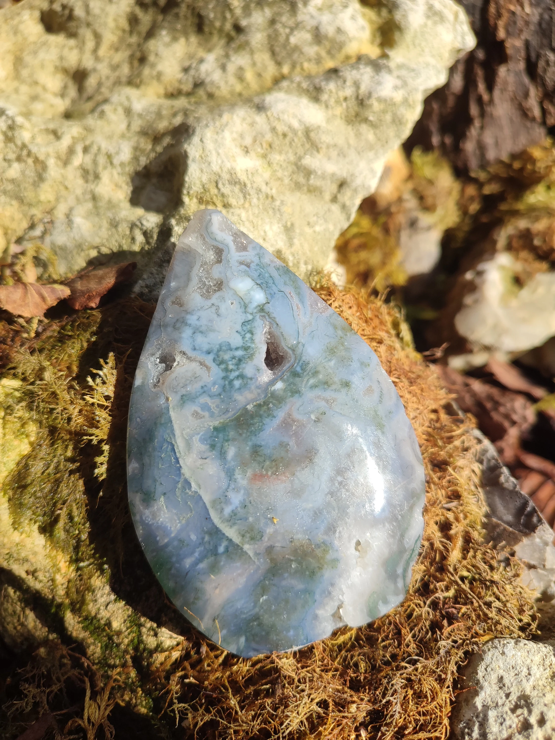 Forme libre d'Agate mousse